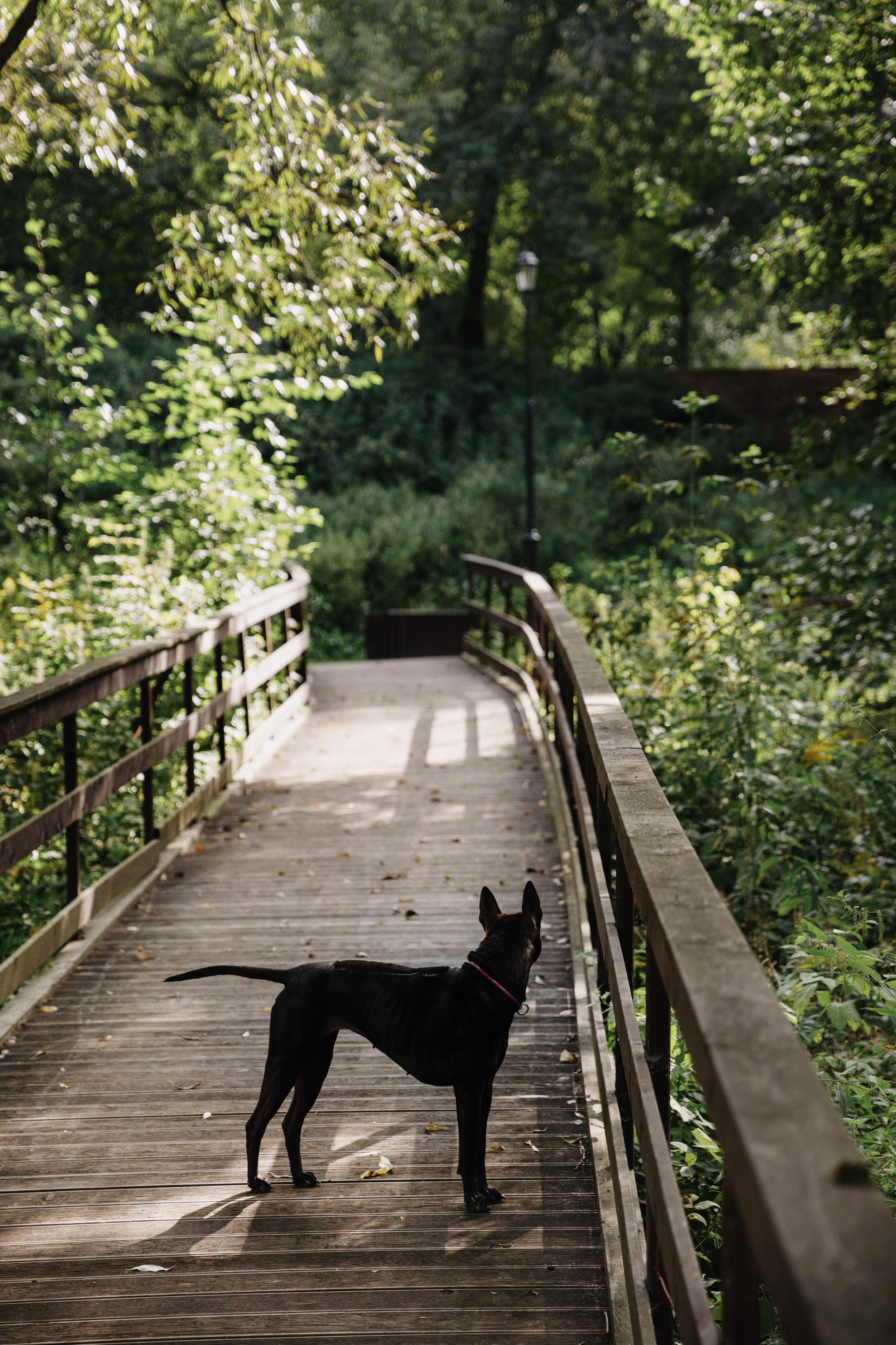 АРХИТЕКТУРА / ОКРУЖЕНИЕ. Фотограф Константин Грибов в Москве