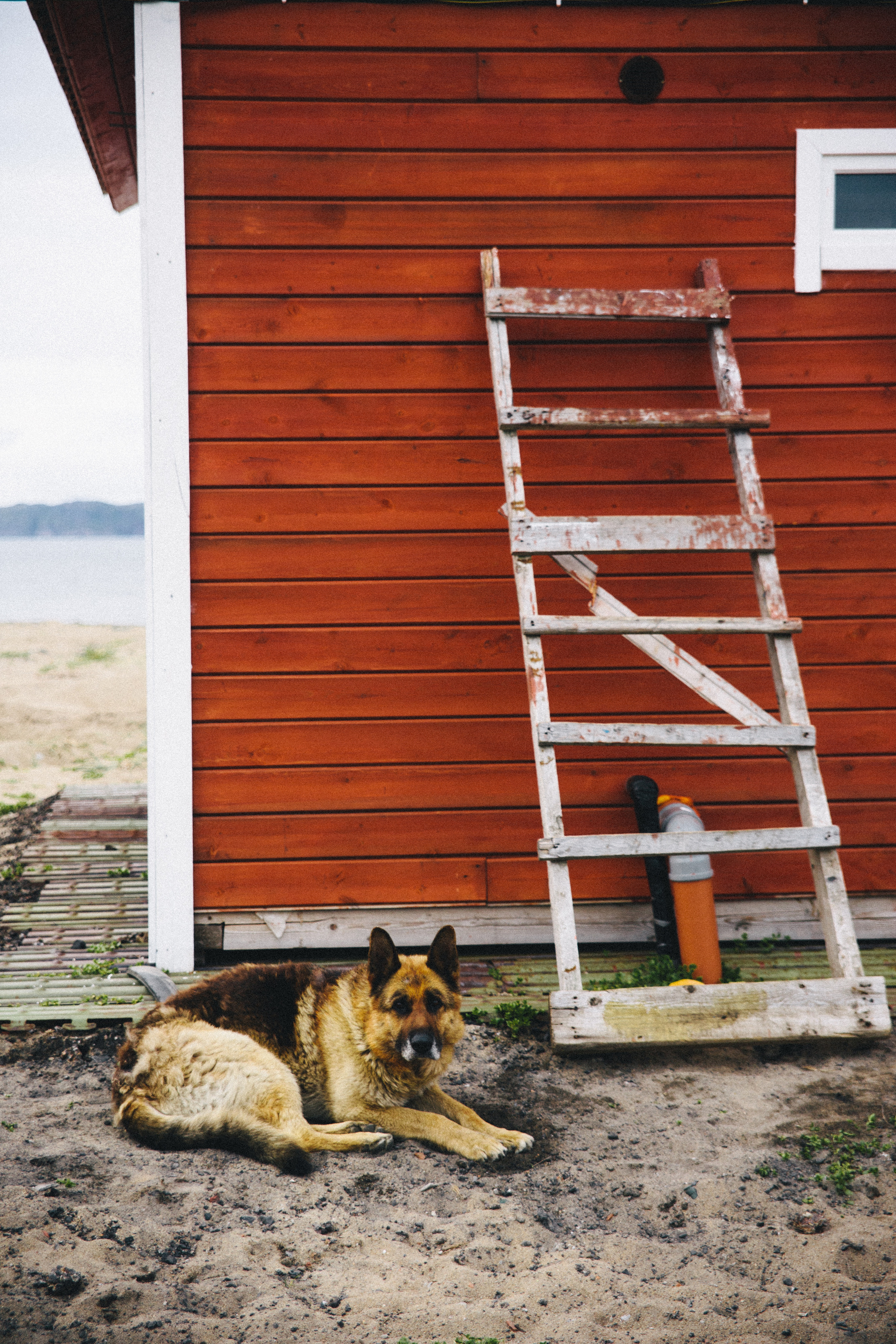 Teriberka. Фотограф Константин Грибов в Москве