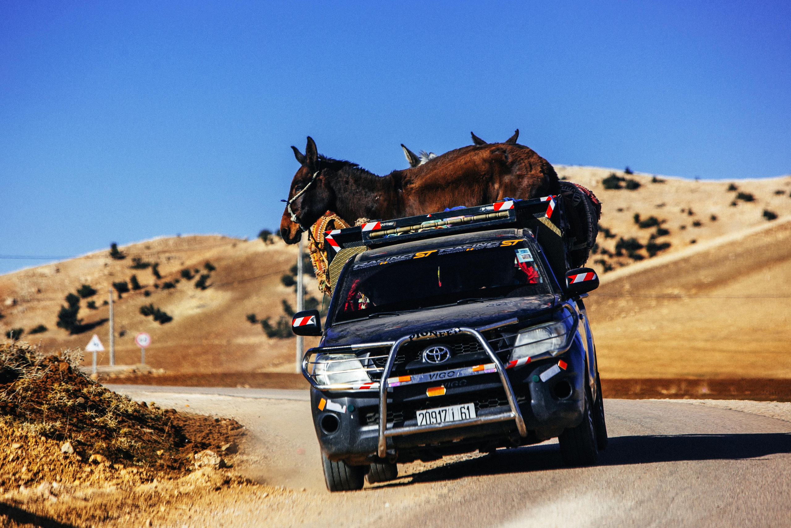 Morocco. Photographer Konstantin Gribov