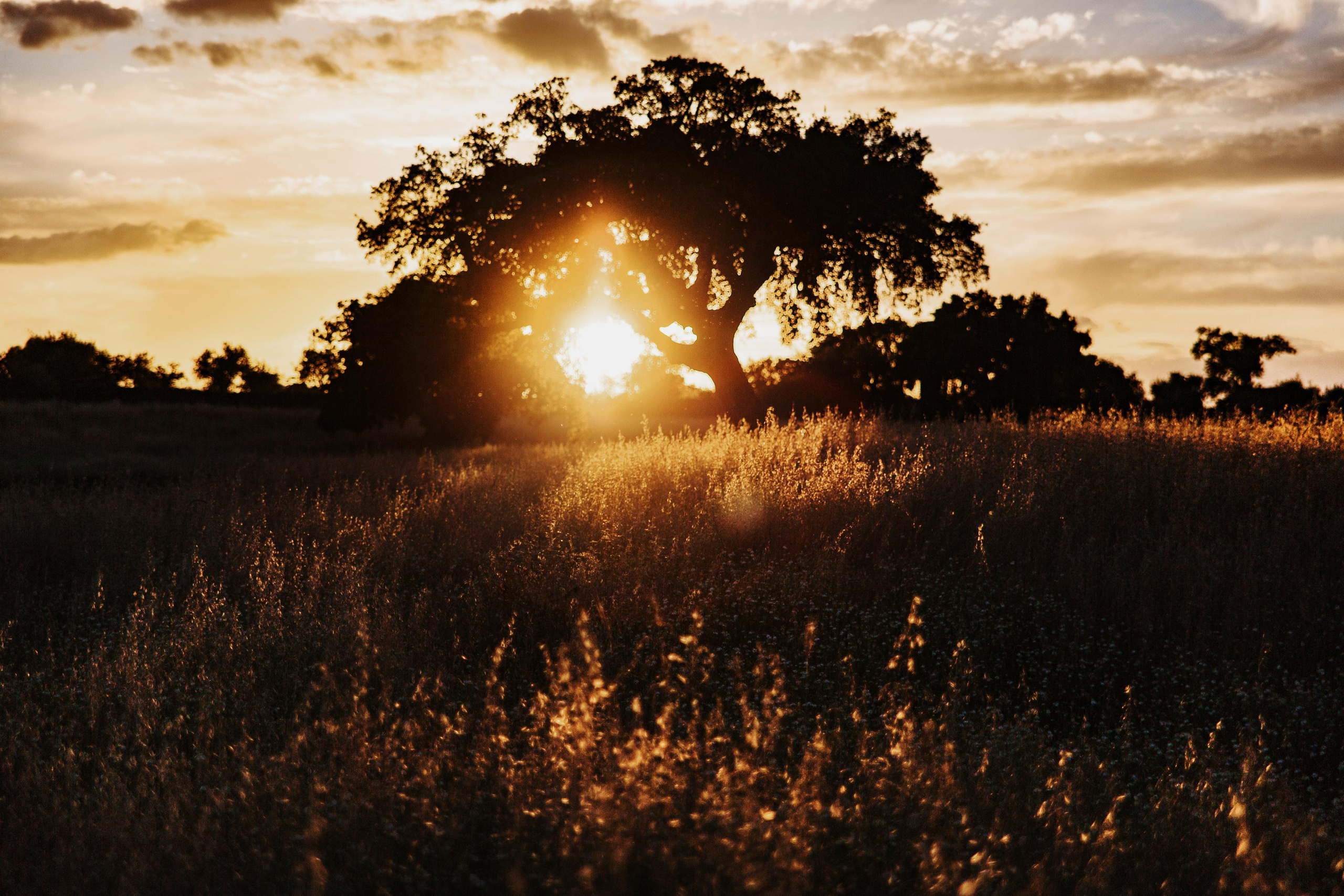 Portugal. Photographer Konstantin Gribov