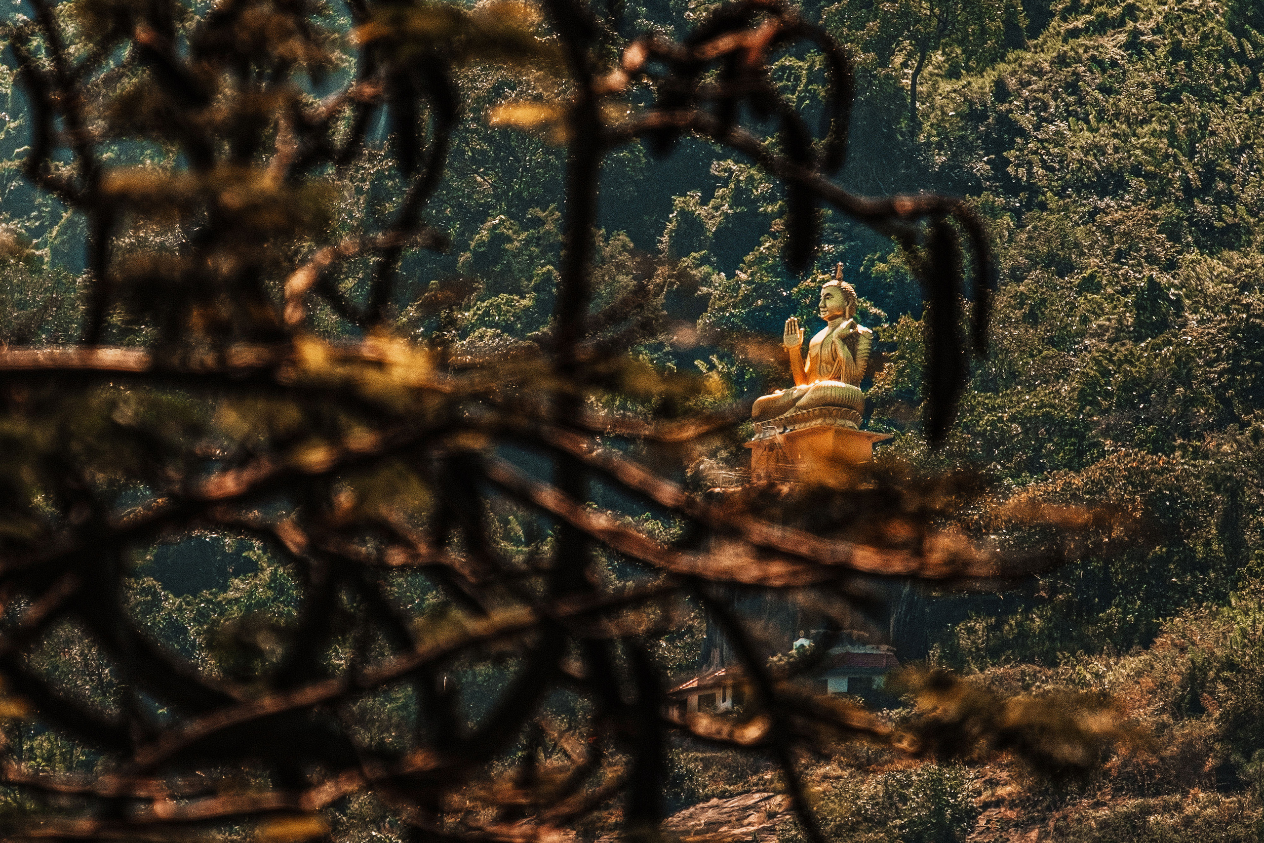 Sri Lanka. Photographer Konstantin Gribov