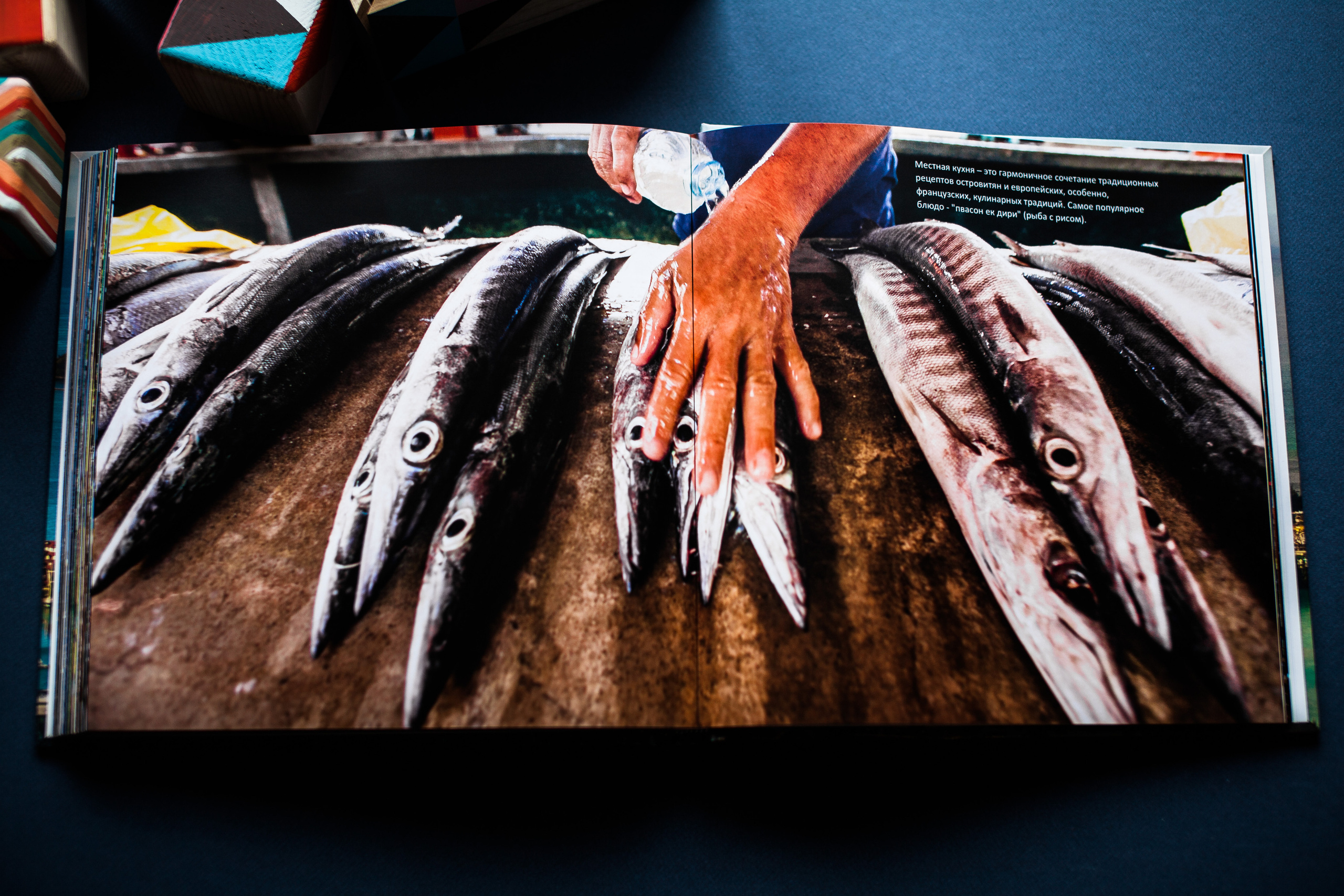 Сейшельская книга. Фотограф Константин Грибов в Москве