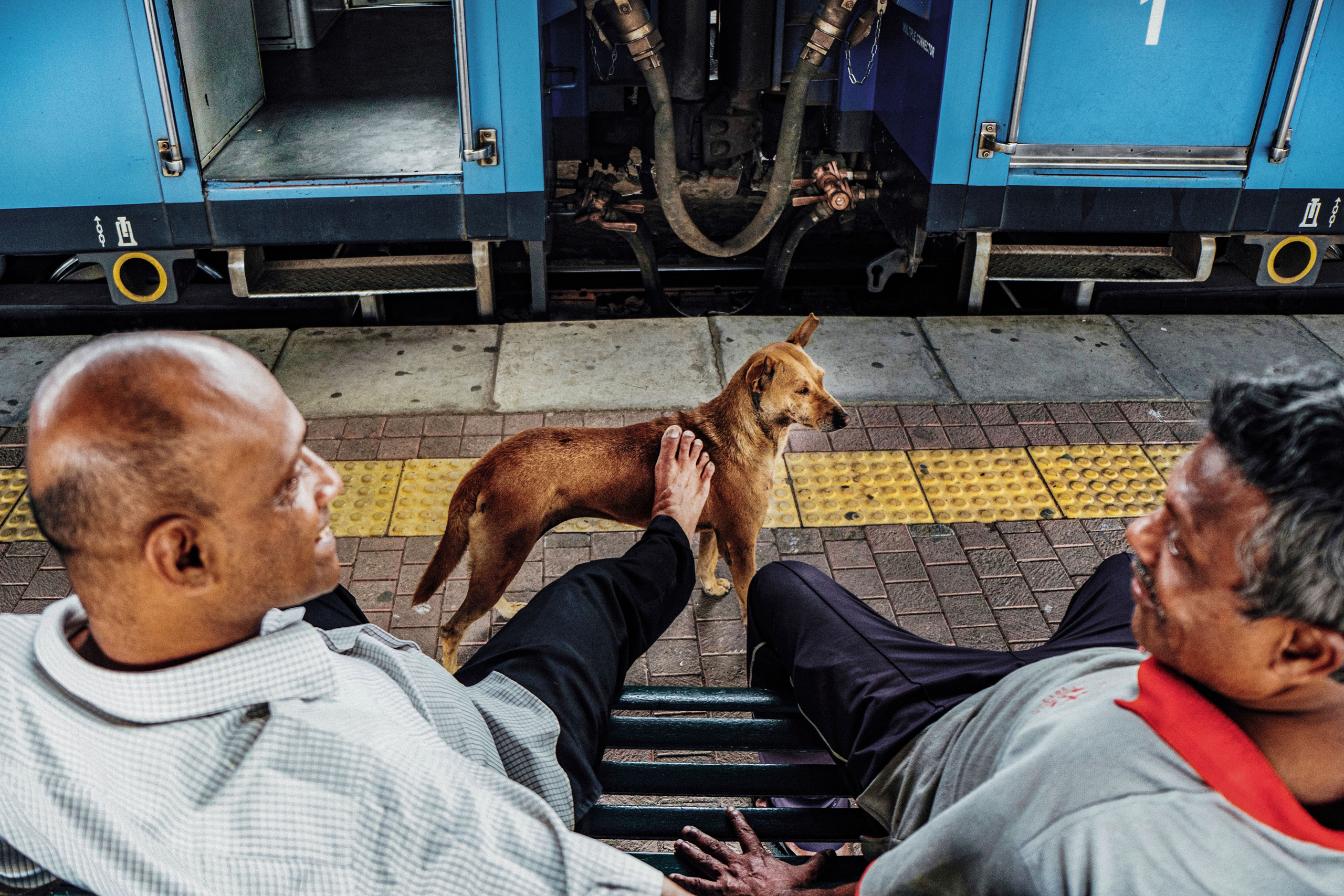 Sri Lanka. Photographer Konstantin Gribov