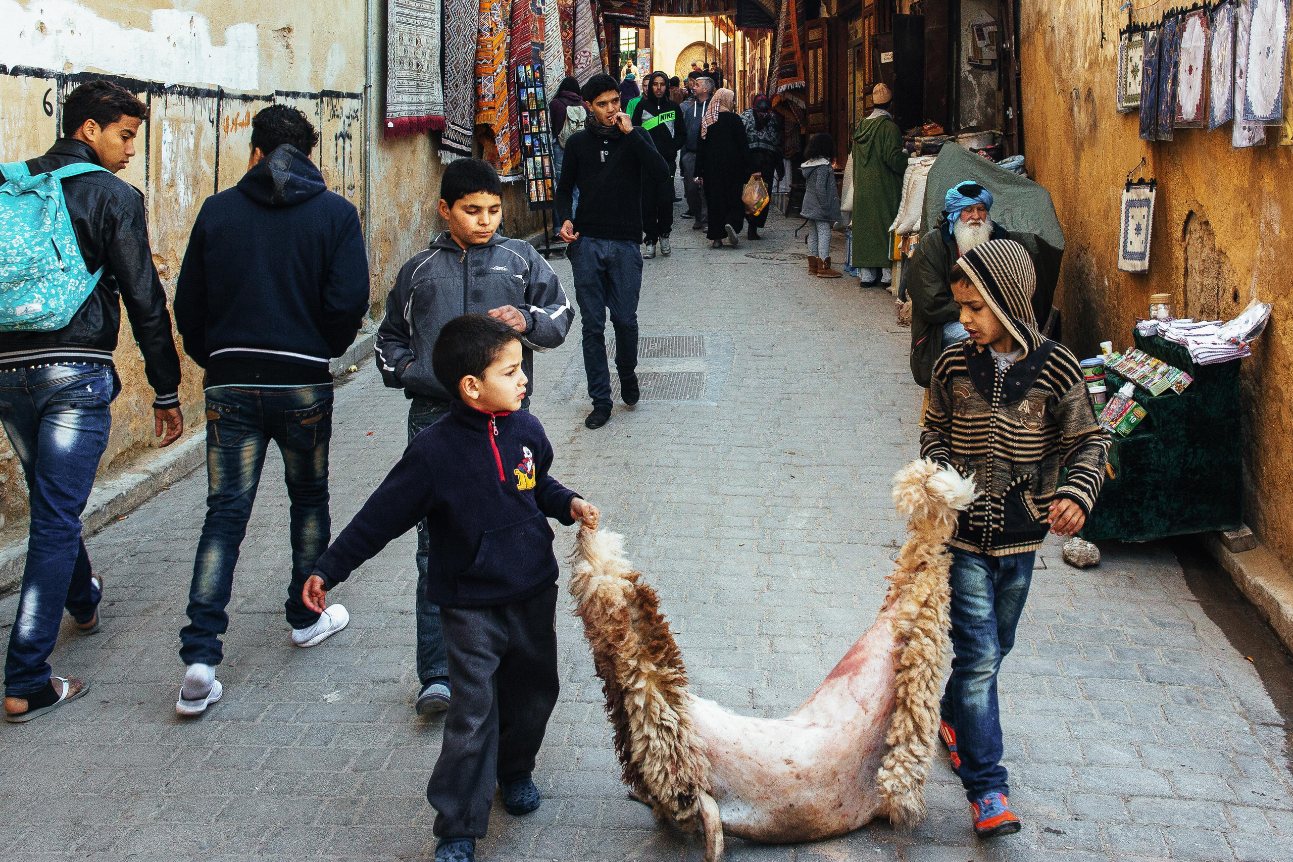 Morocco. Photographer Konstantin Gribov