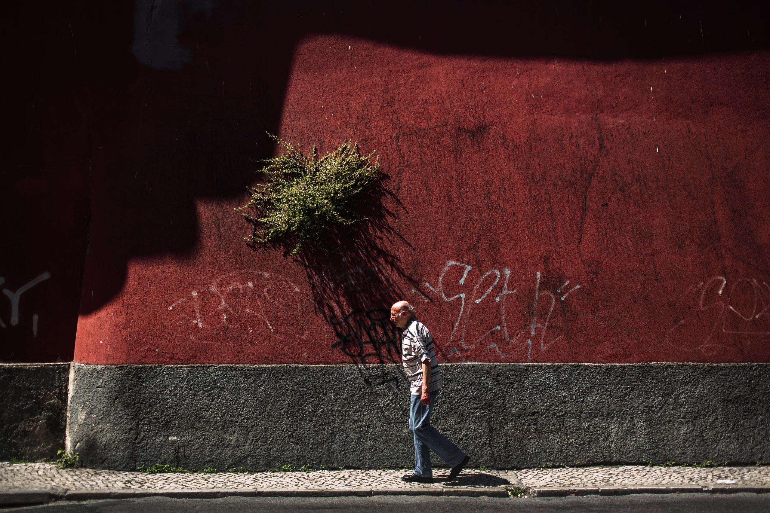 Portugal. Photographer Konstantin Gribov