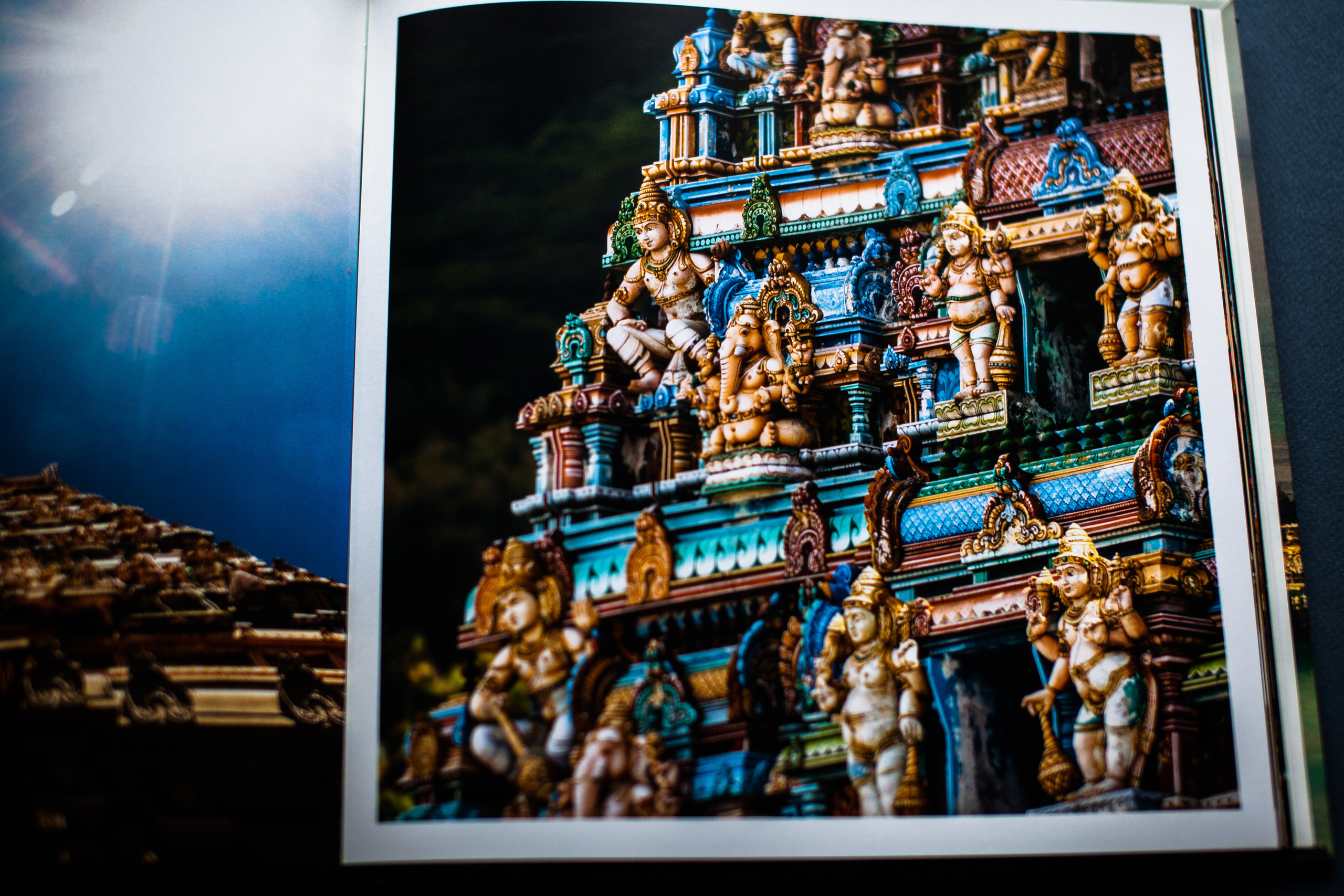 Сейшельская книга. Фотограф Константин Грибов в Москве