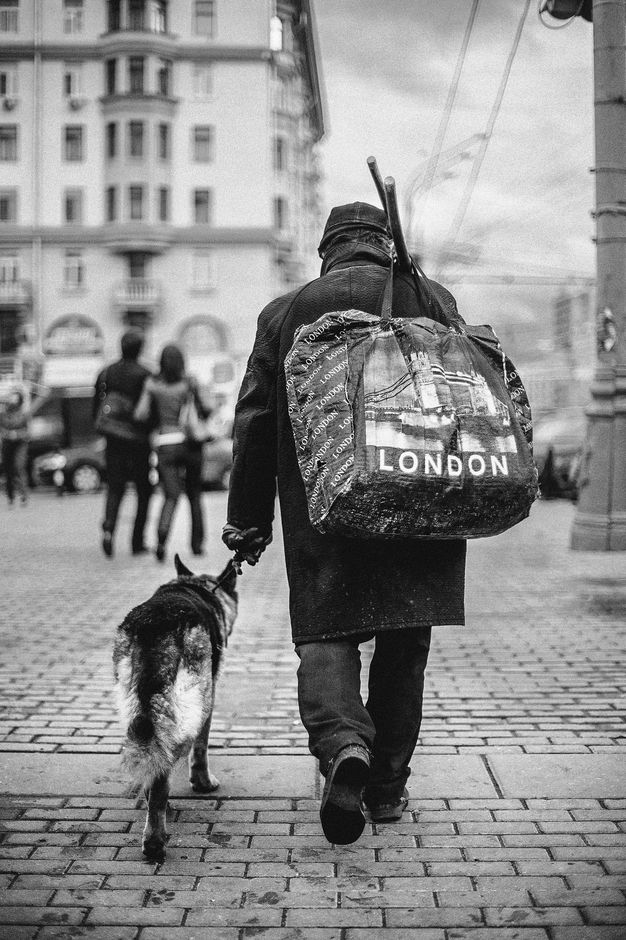 Moscow. Photographer Konstantin Gribov