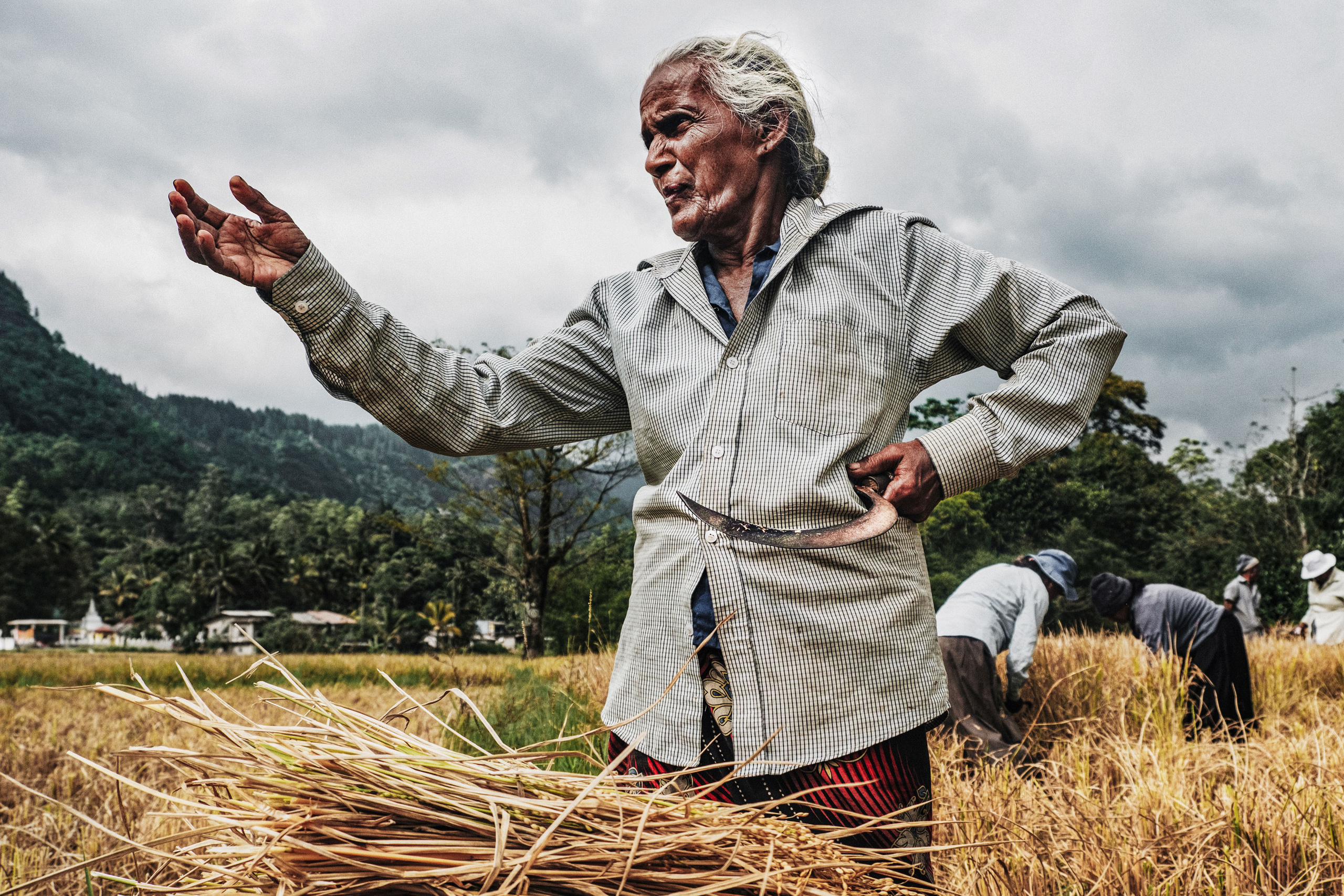 Sri Lanka. Photographer Konstantin Gribov