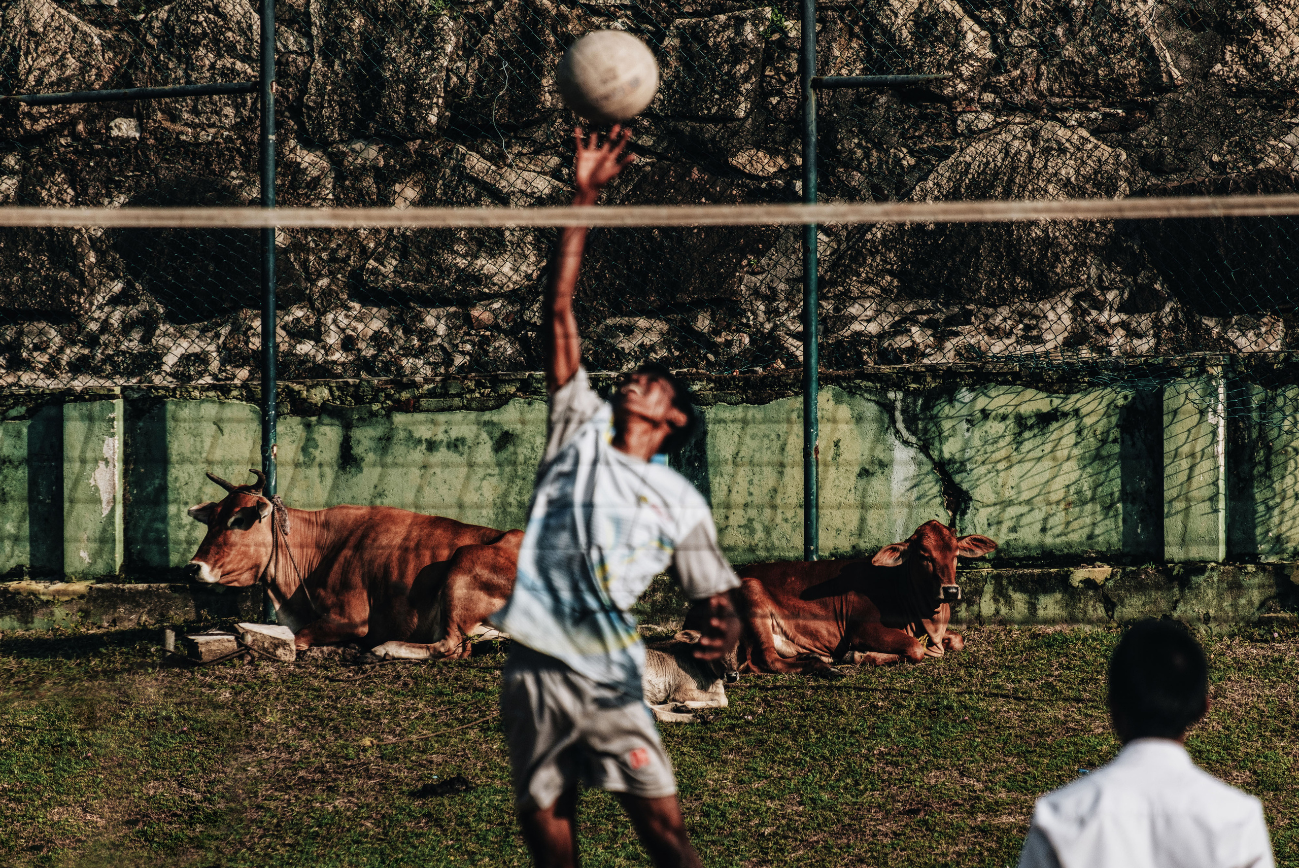 Sri Lanka. Photographer Konstantin Gribov