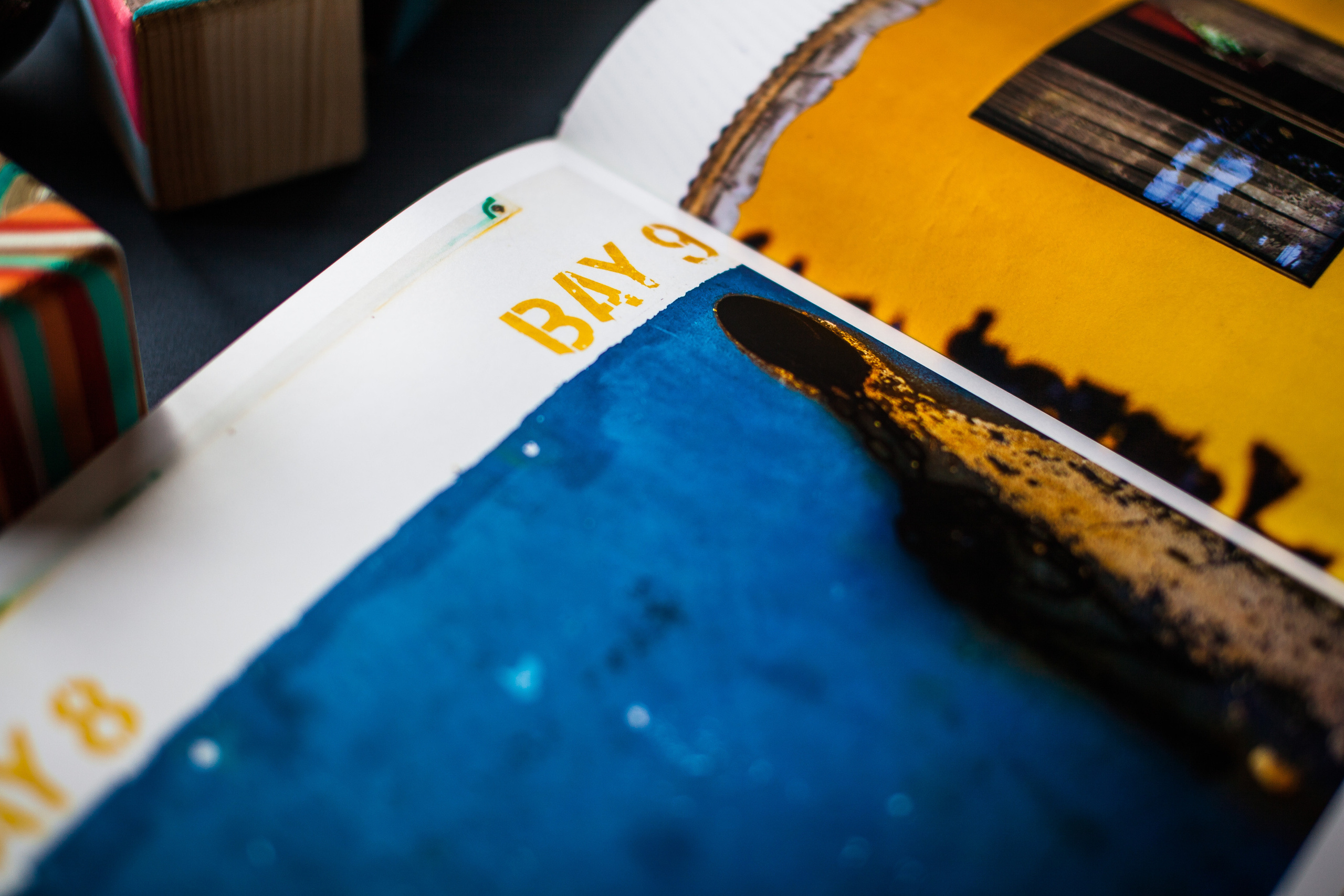 Сейшельская книга. Фотограф Константин Грибов в Москве