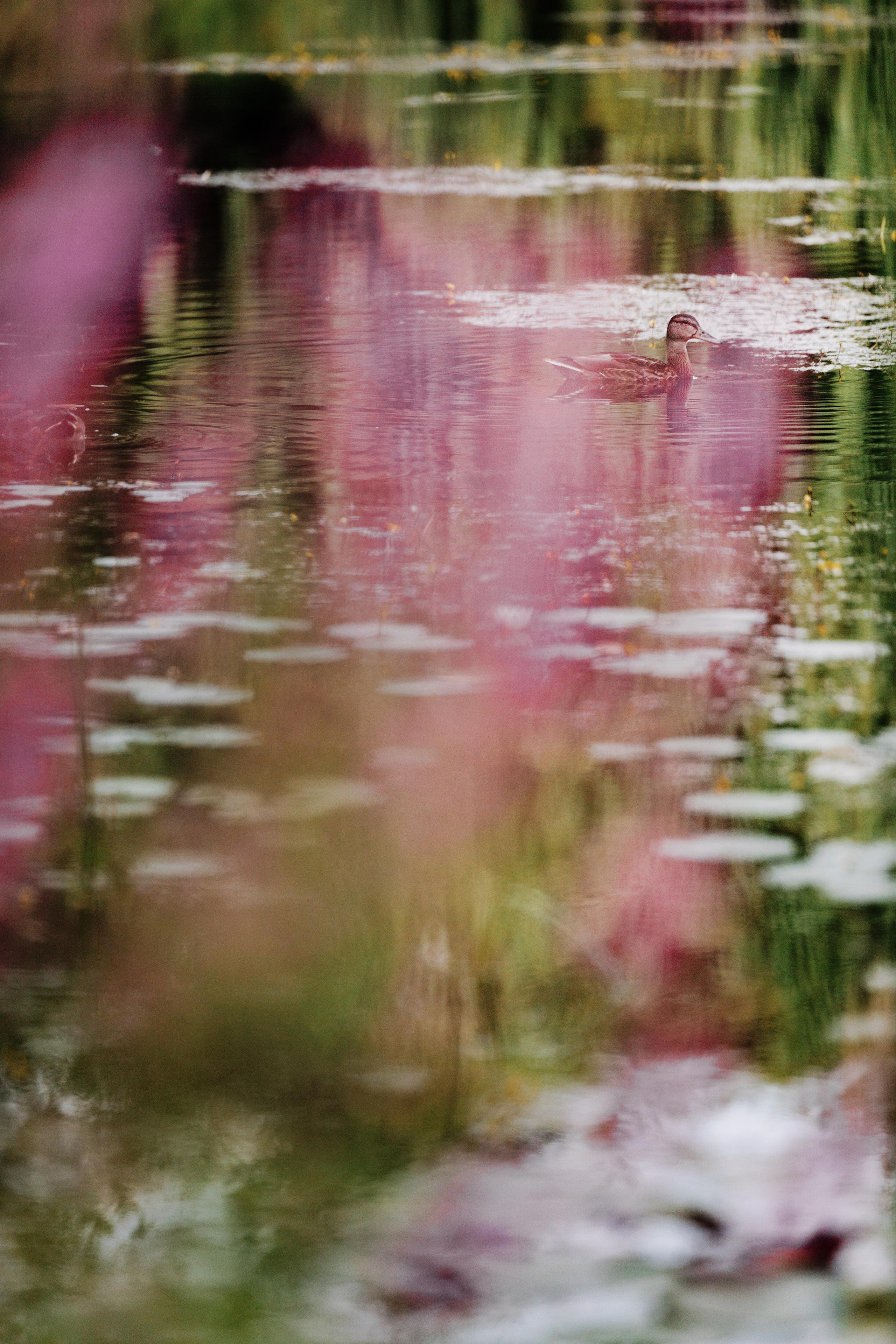 АРХИТЕКТУРА / ОКРУЖЕНИЕ. Фотограф Константин Грибов в Москве