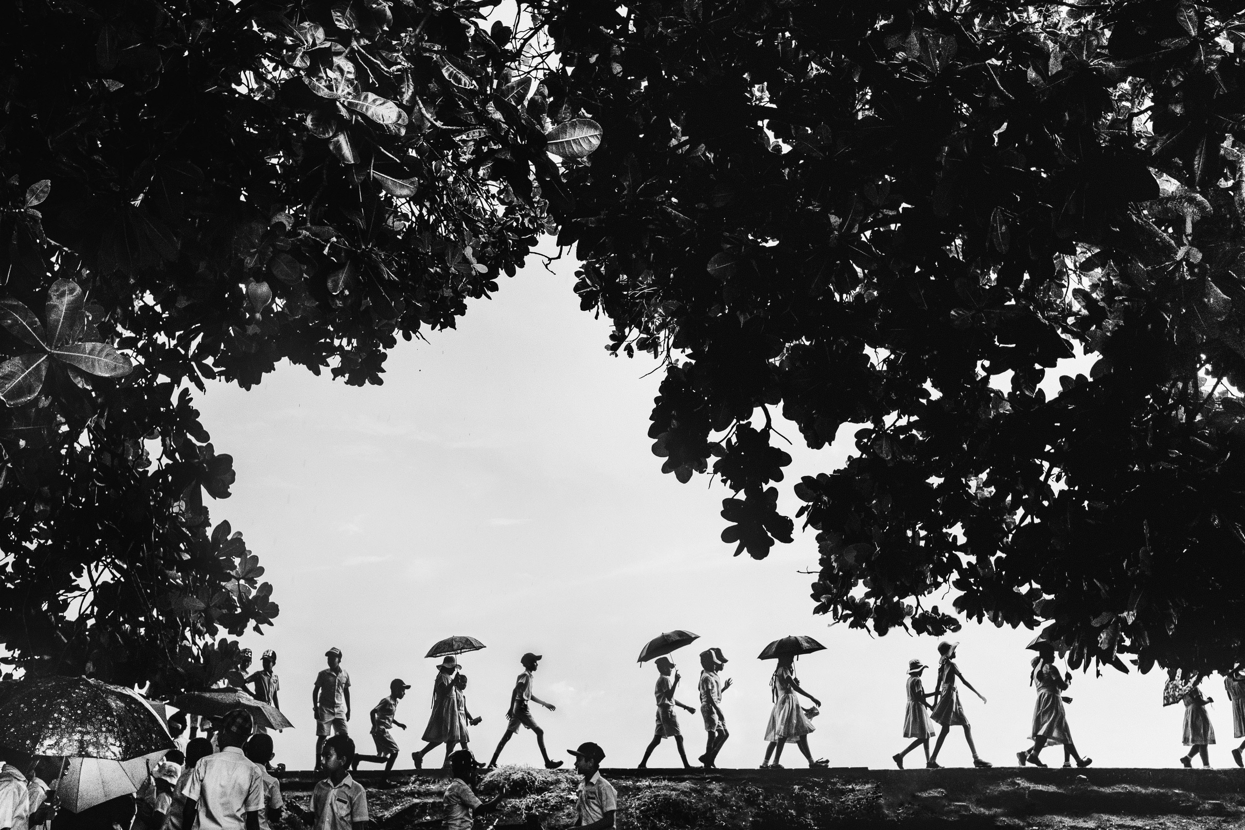 Sri Lanka. Photographer Konstantin Gribov