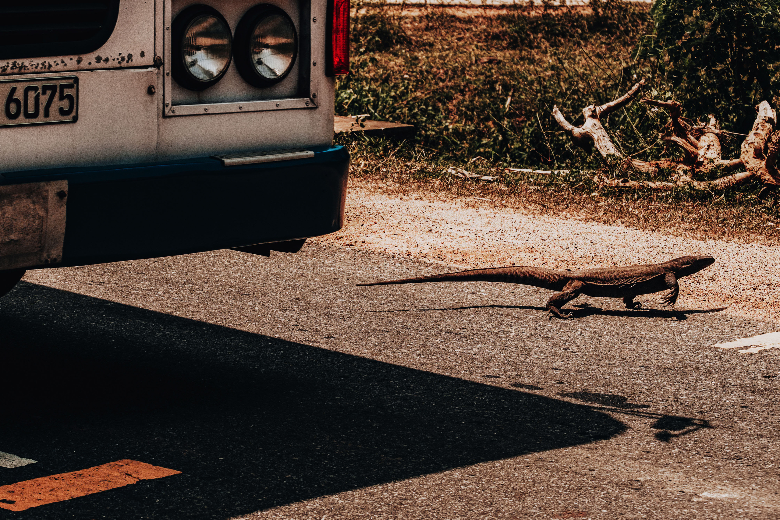 Sri Lanka. Photographer Konstantin Gribov