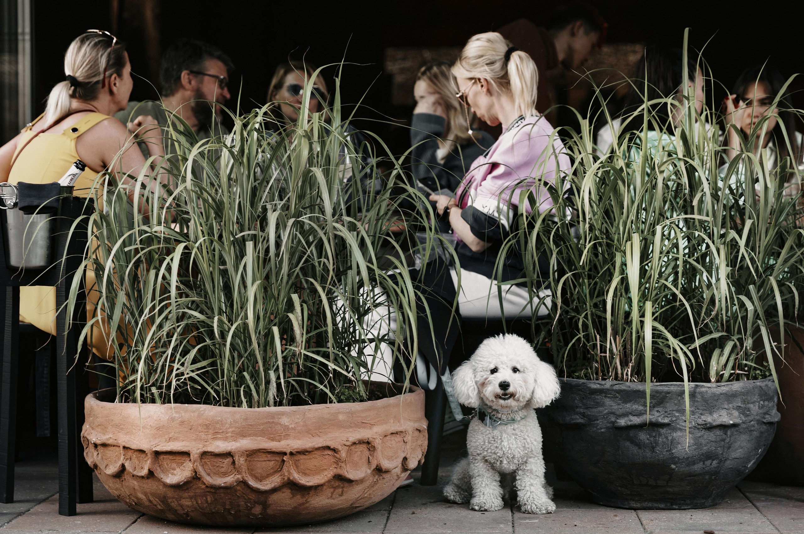 АРХИТЕКТУРА / ОКРУЖЕНИЕ. Фотограф Константин Грибов в Москве