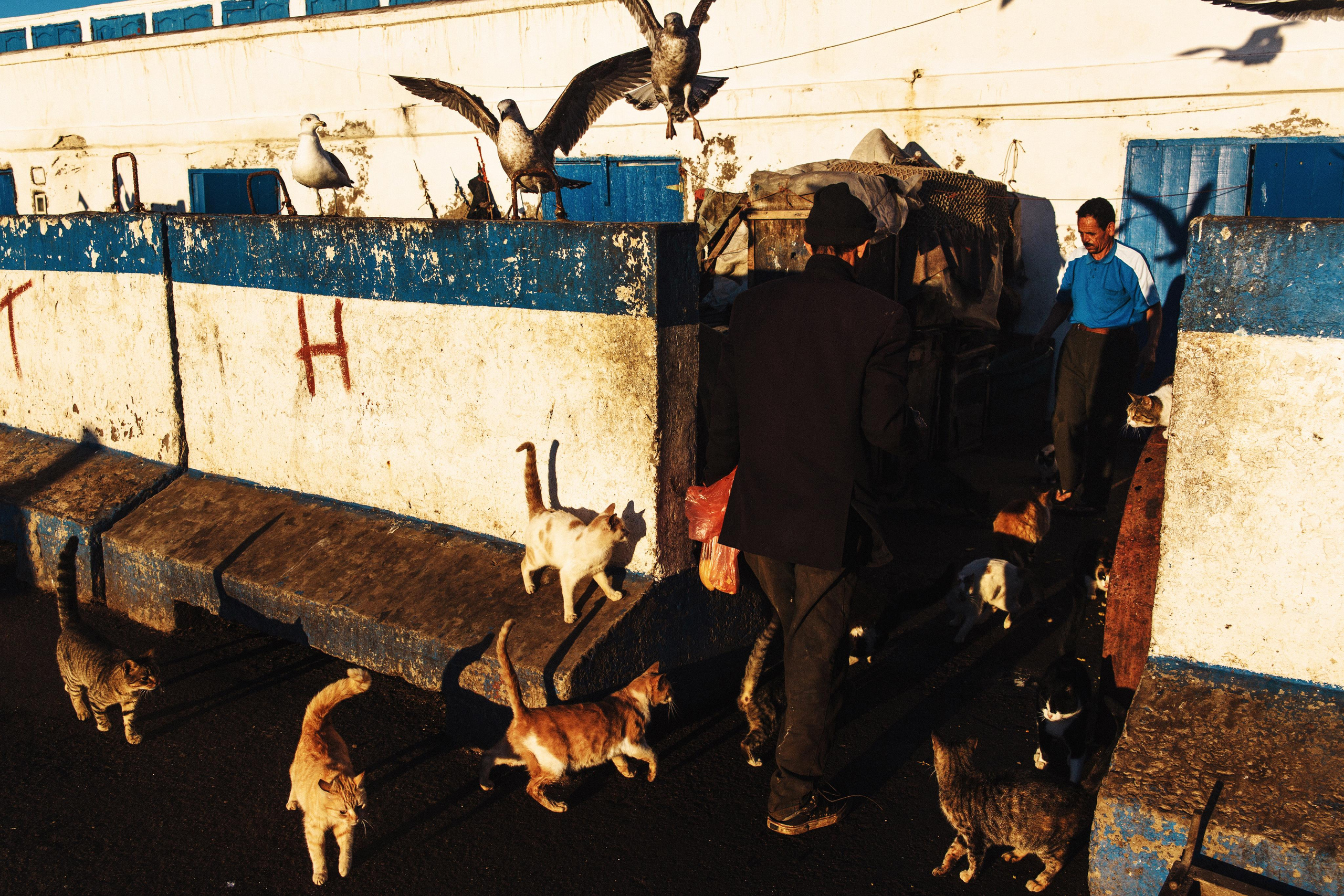 Morocco. Photographer Konstantin Gribov