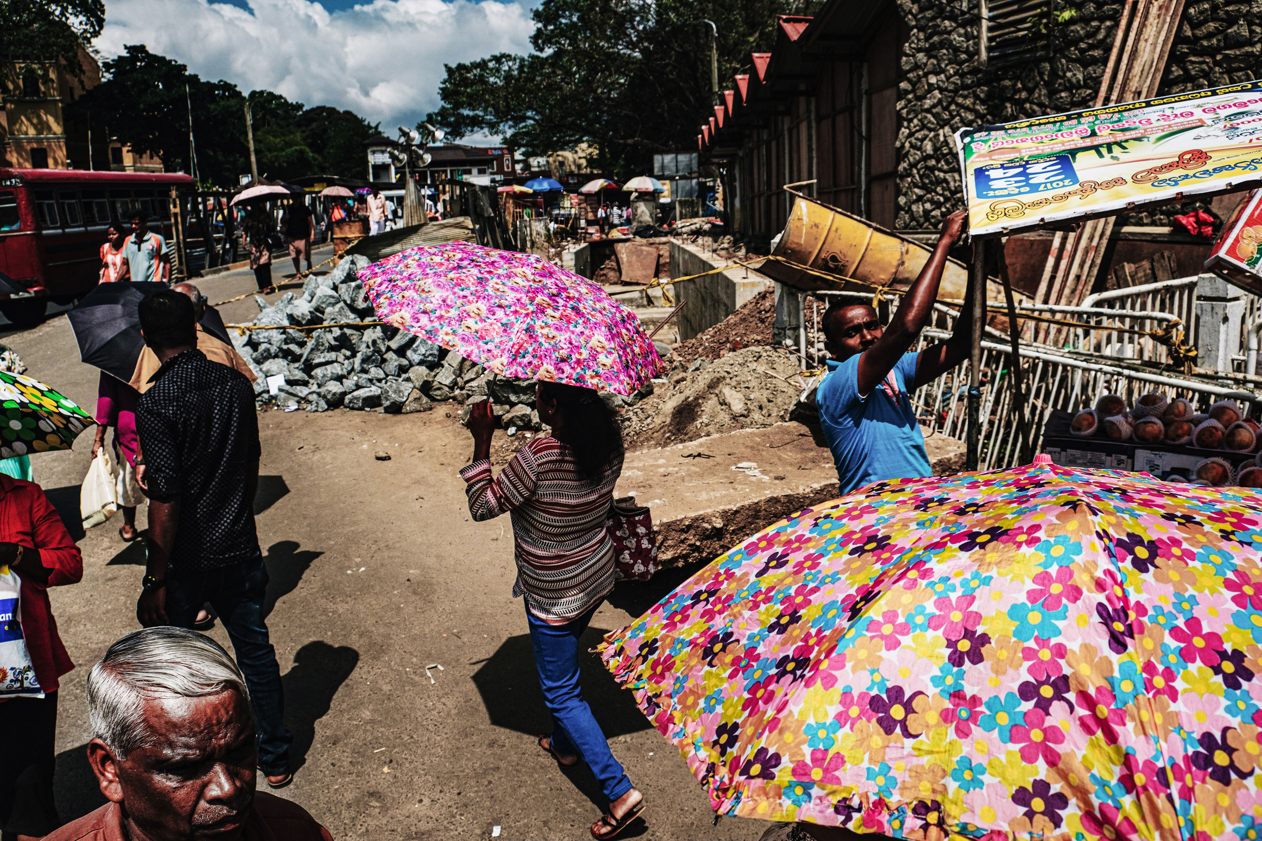 Sri Lanka. Photographer Konstantin Gribov