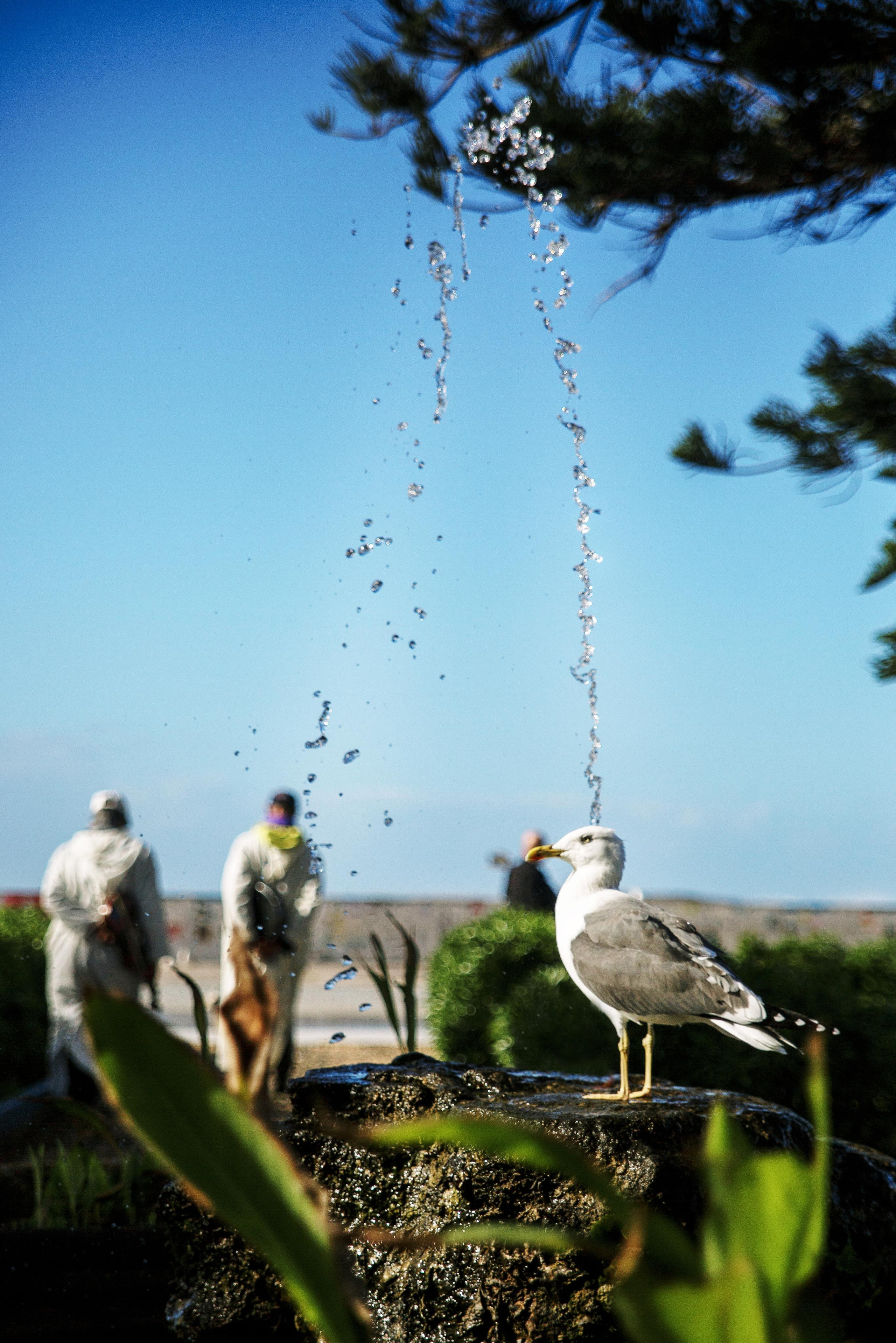 Morocco. Photographer Konstantin Gribov