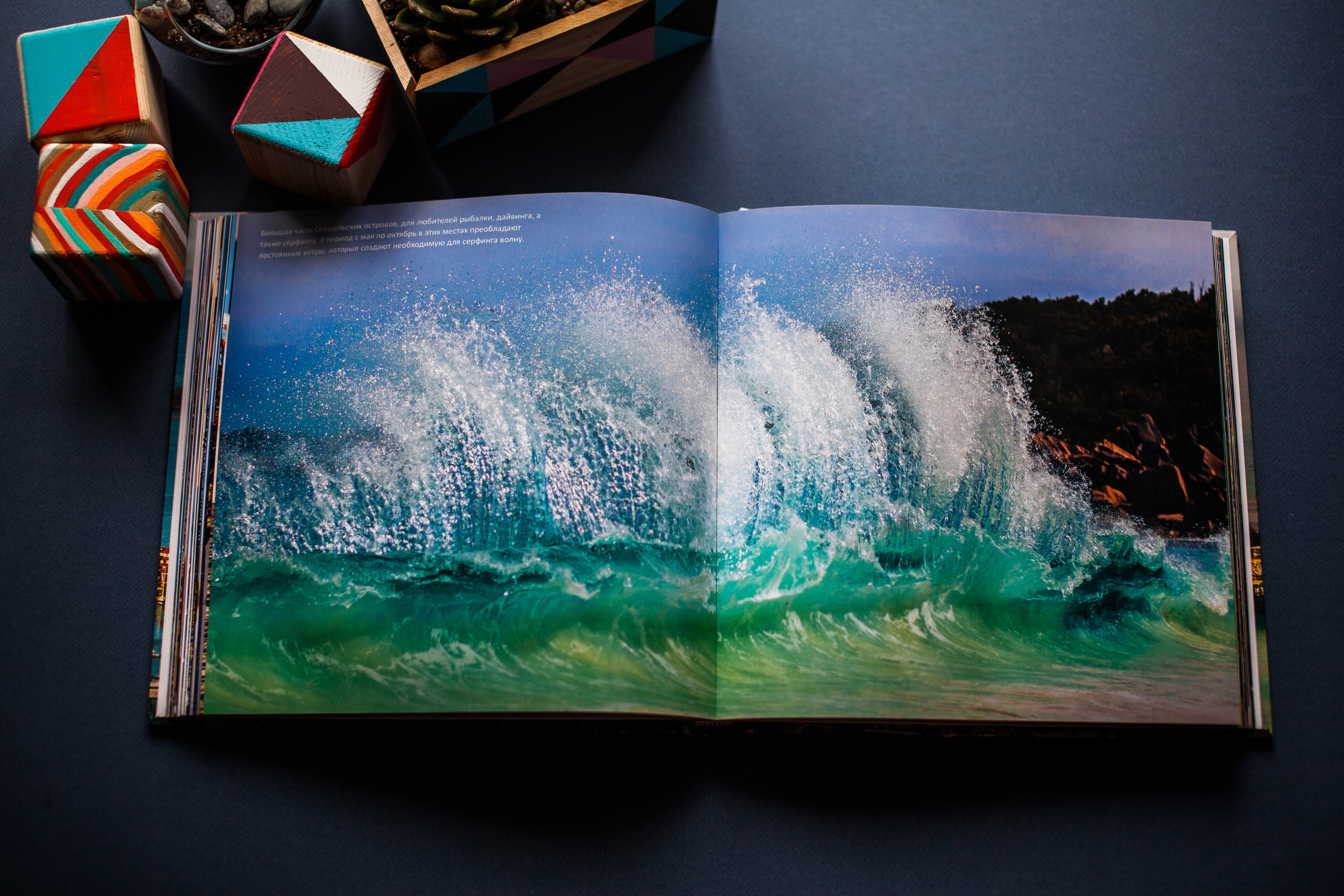 Сейшельская книга. Фотограф Константин Грибов в Москве