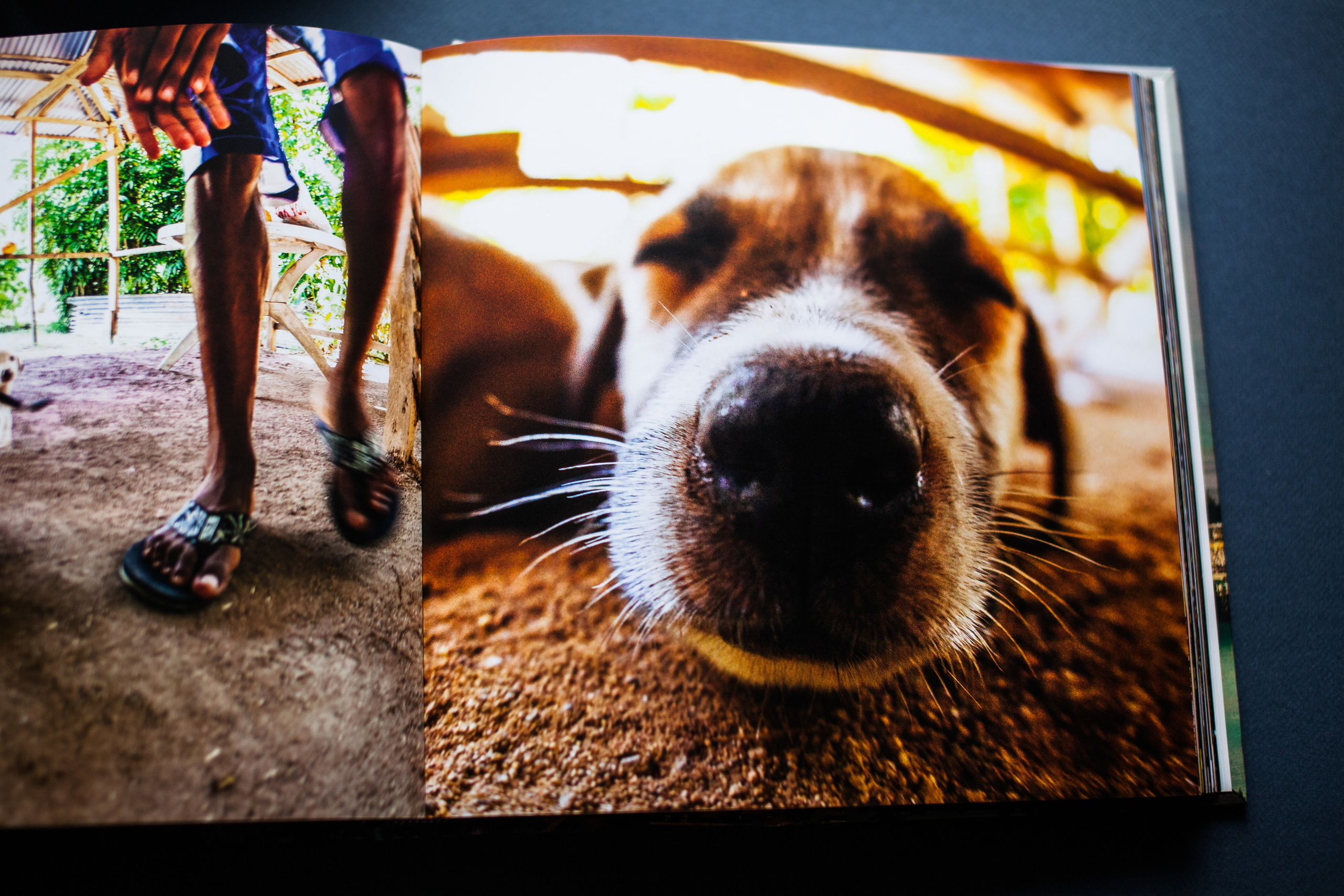 Сейшельская книга. Фотограф Константин Грибов в Москве