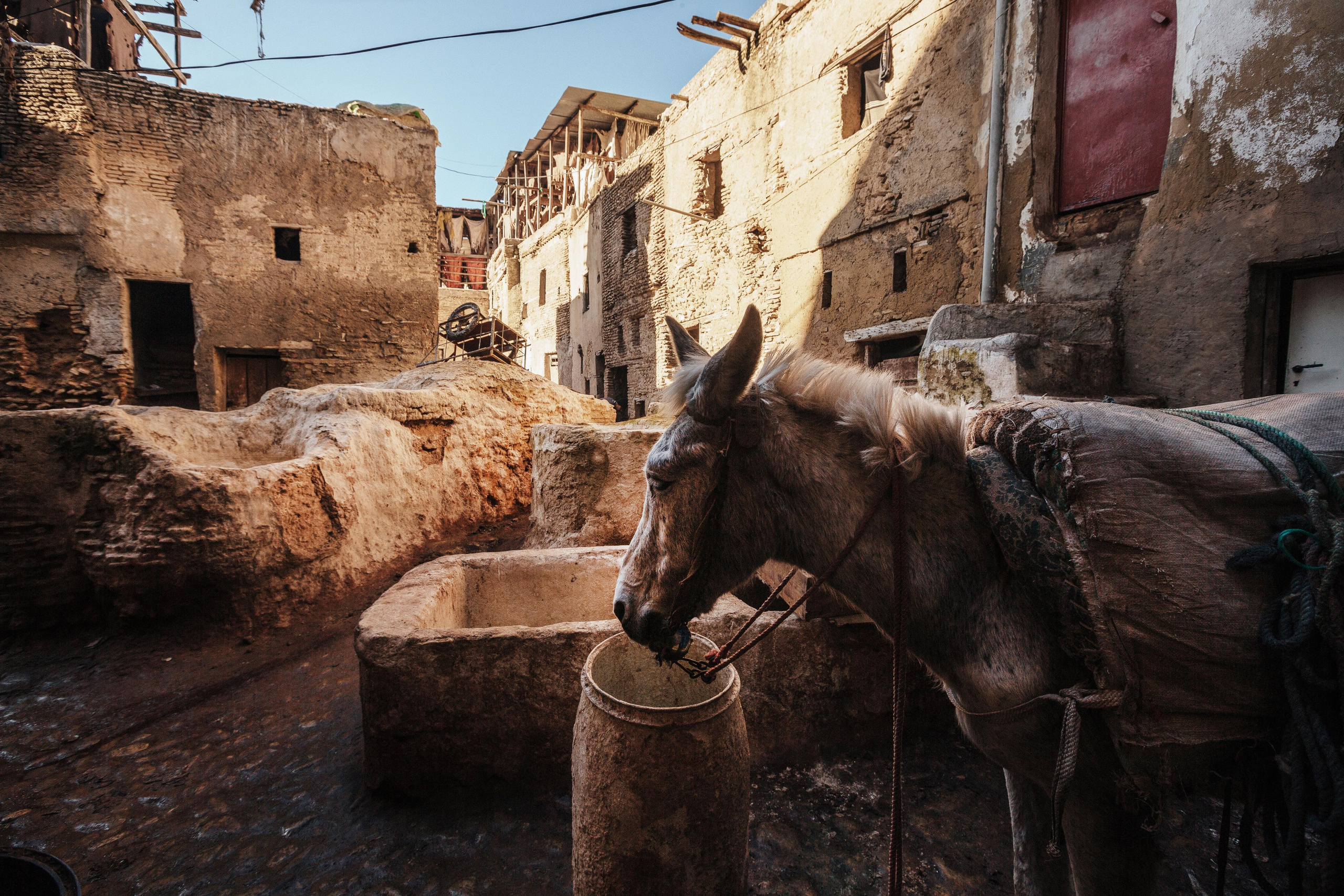 Morocco. Photographer Konstantin Gribov