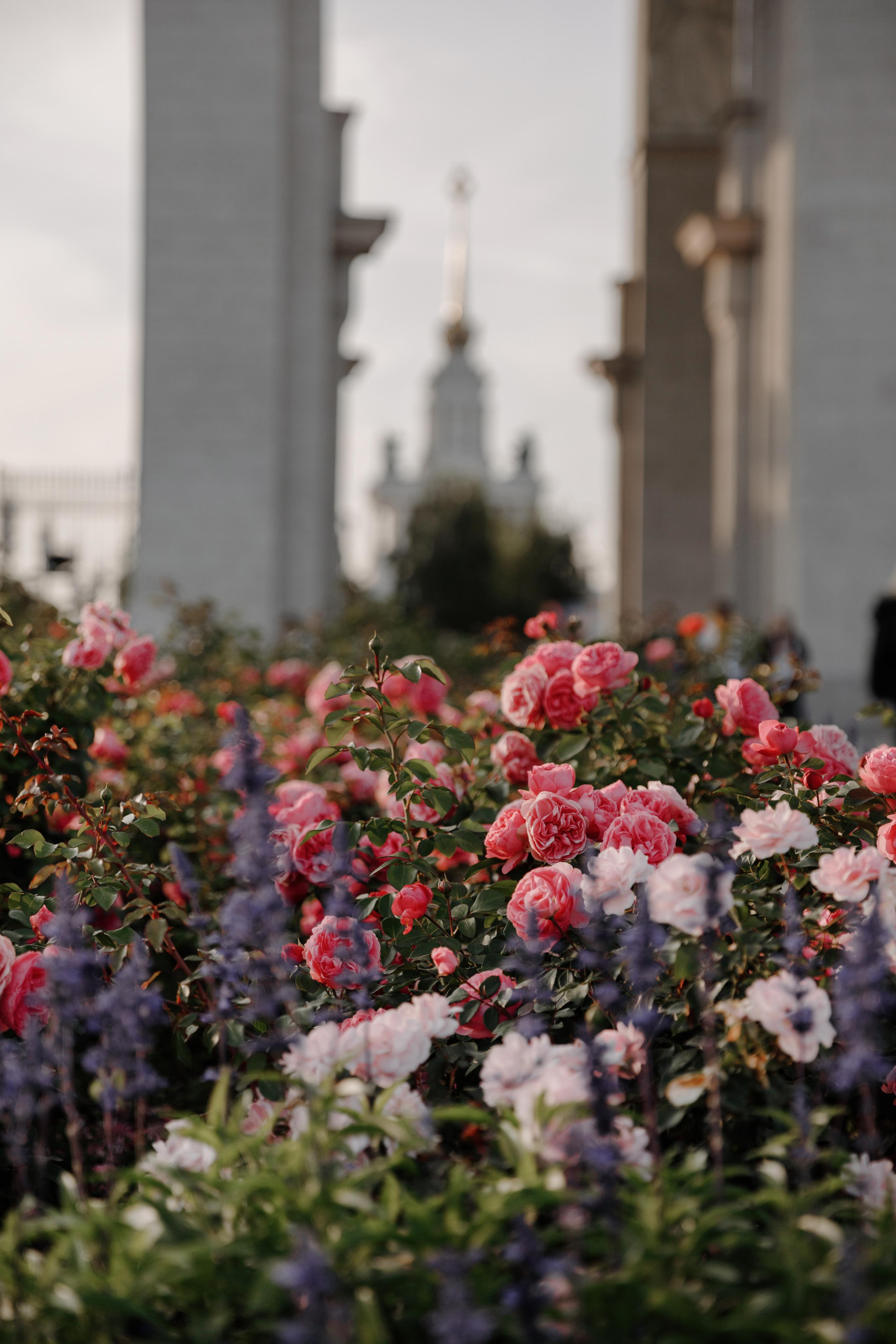 АРХИТЕКТУРА / ОКРУЖЕНИЕ. Фотограф Константин Грибов в Москве