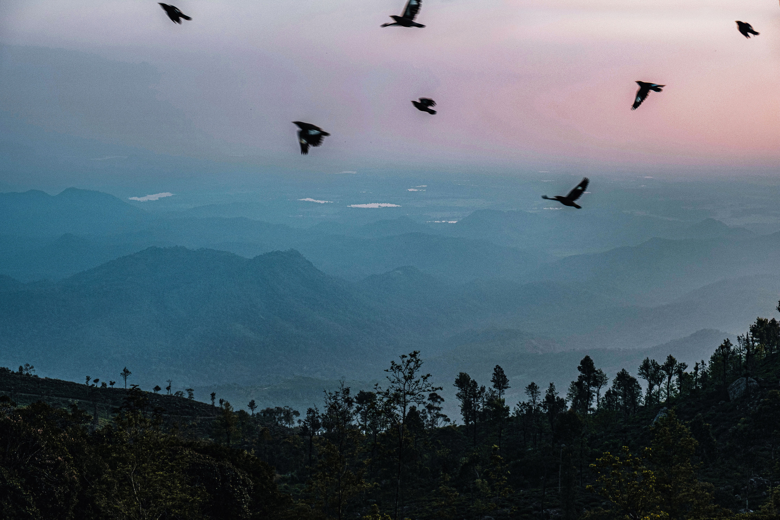 Sri Lanka. Photographer Konstantin Gribov