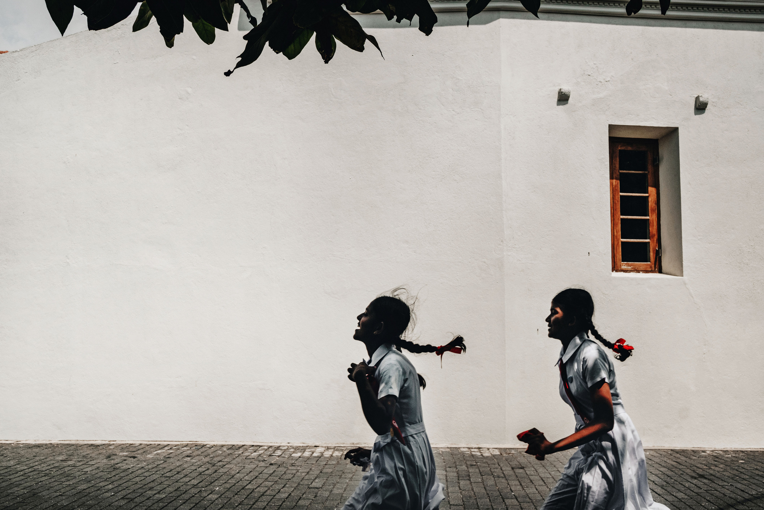 Sri Lanka. Photographer Konstantin Gribov