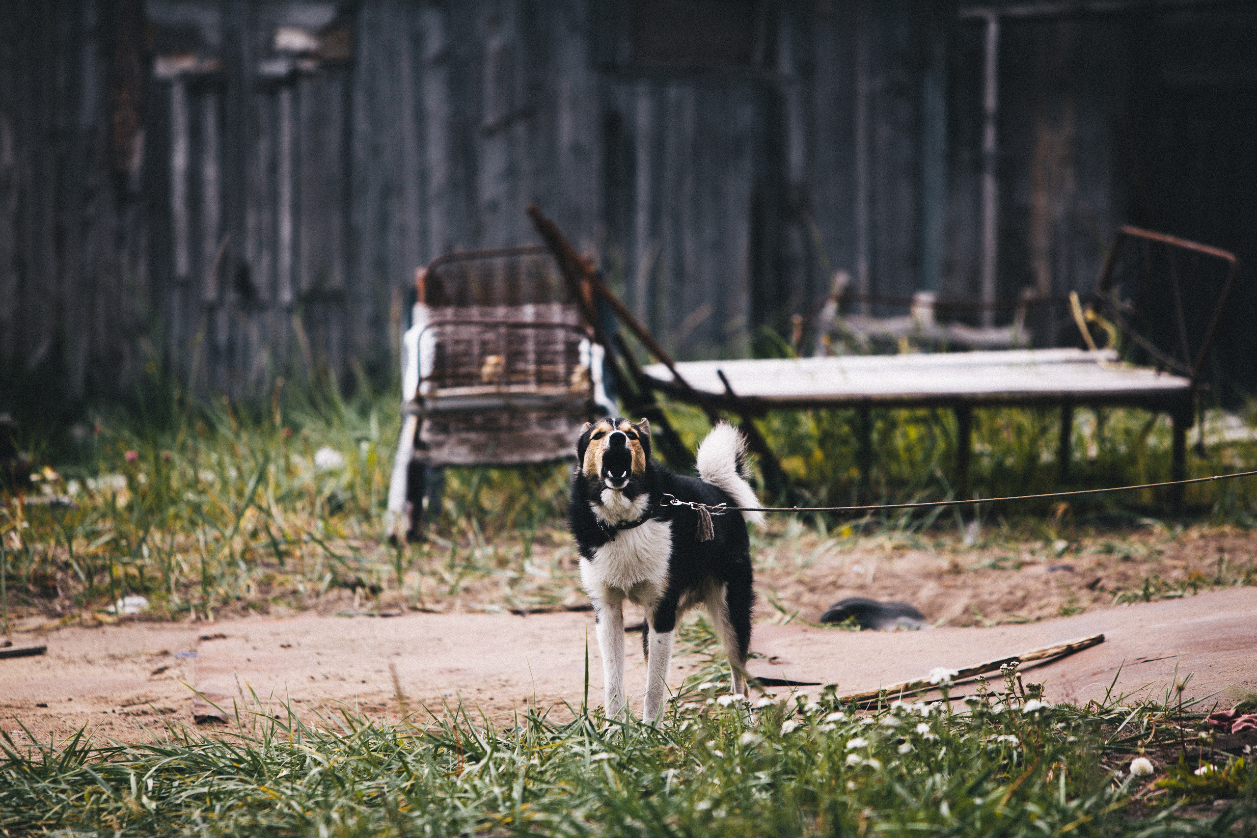 Teriberka. Фотограф Константин Грибов в Москве