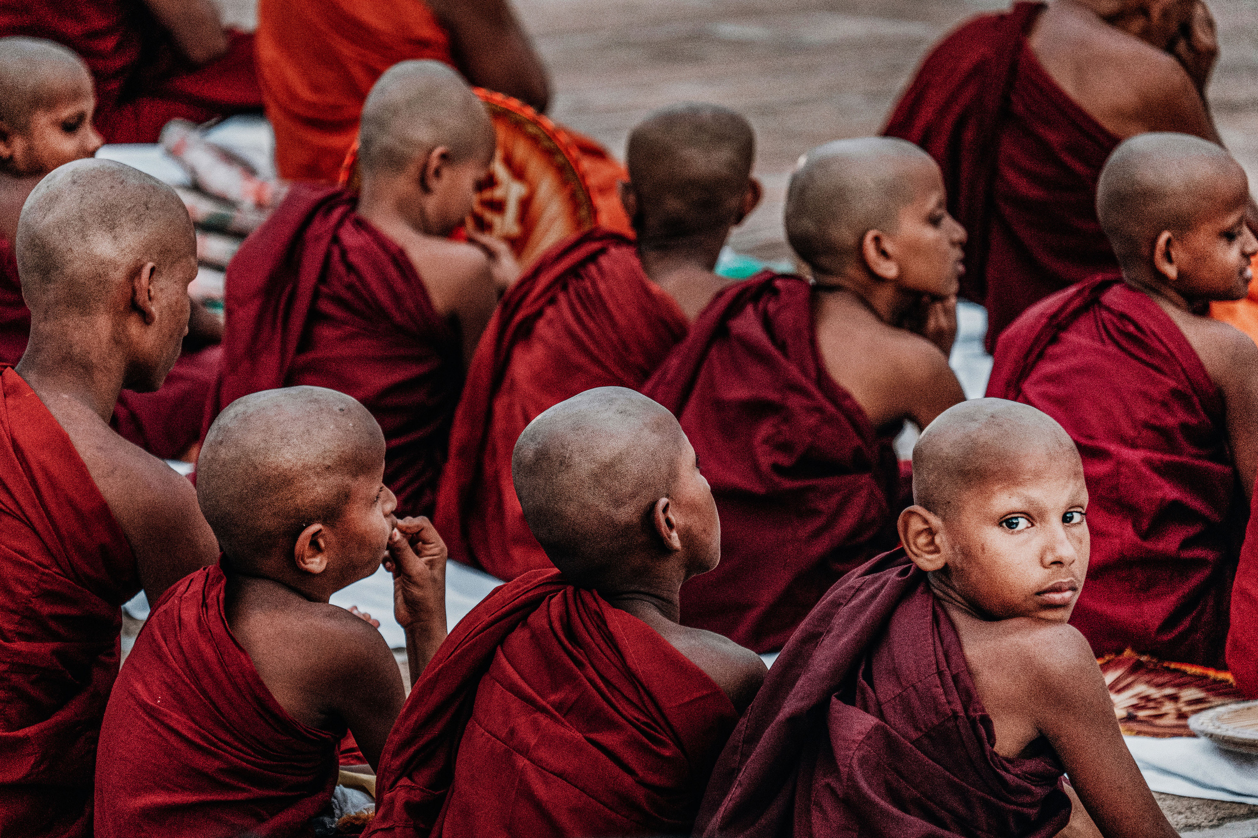 Sri Lanka. Photographer Konstantin Gribov