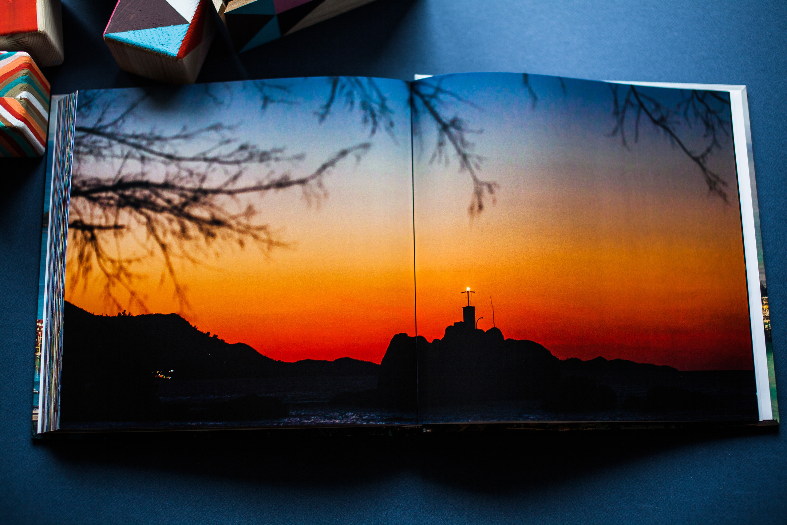 Сейшельская книга. Фотограф Константин Грибов в Москве