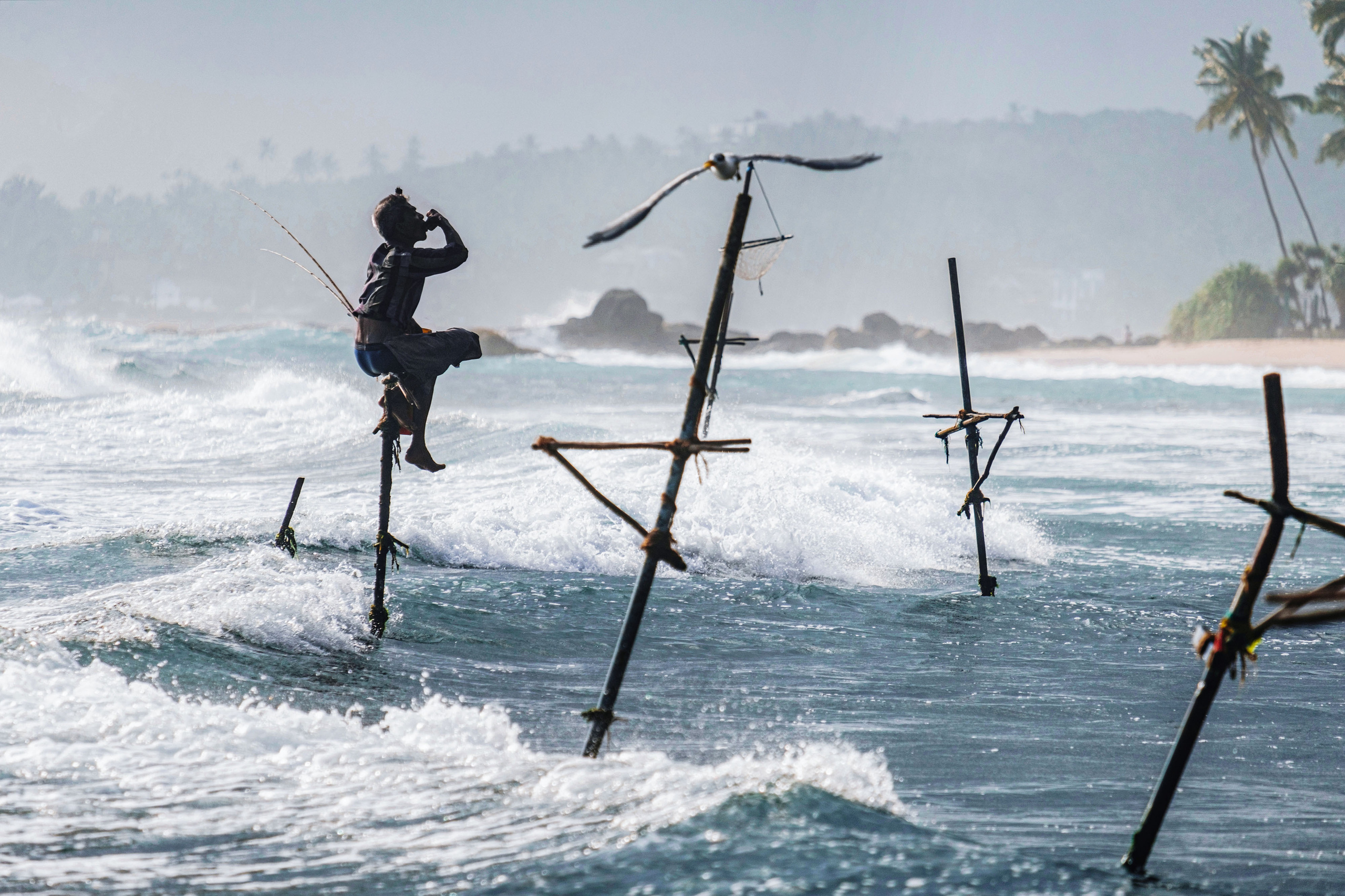 Sri Lanka. Photographer Konstantin Gribov