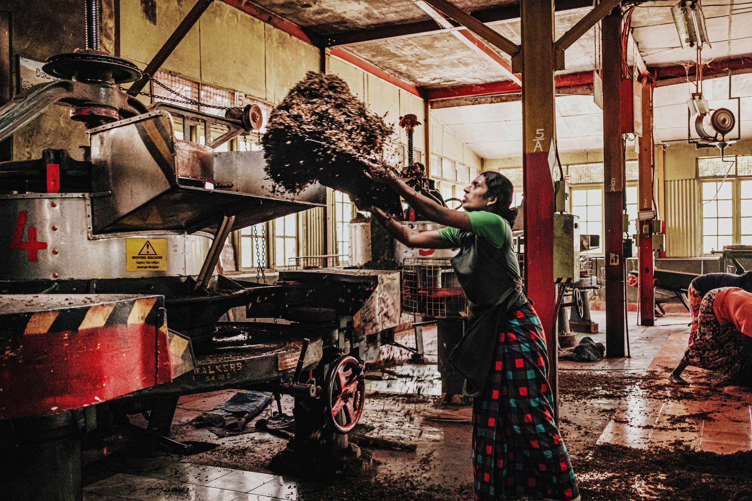 Sri Lanka. Photographer Konstantin Gribov