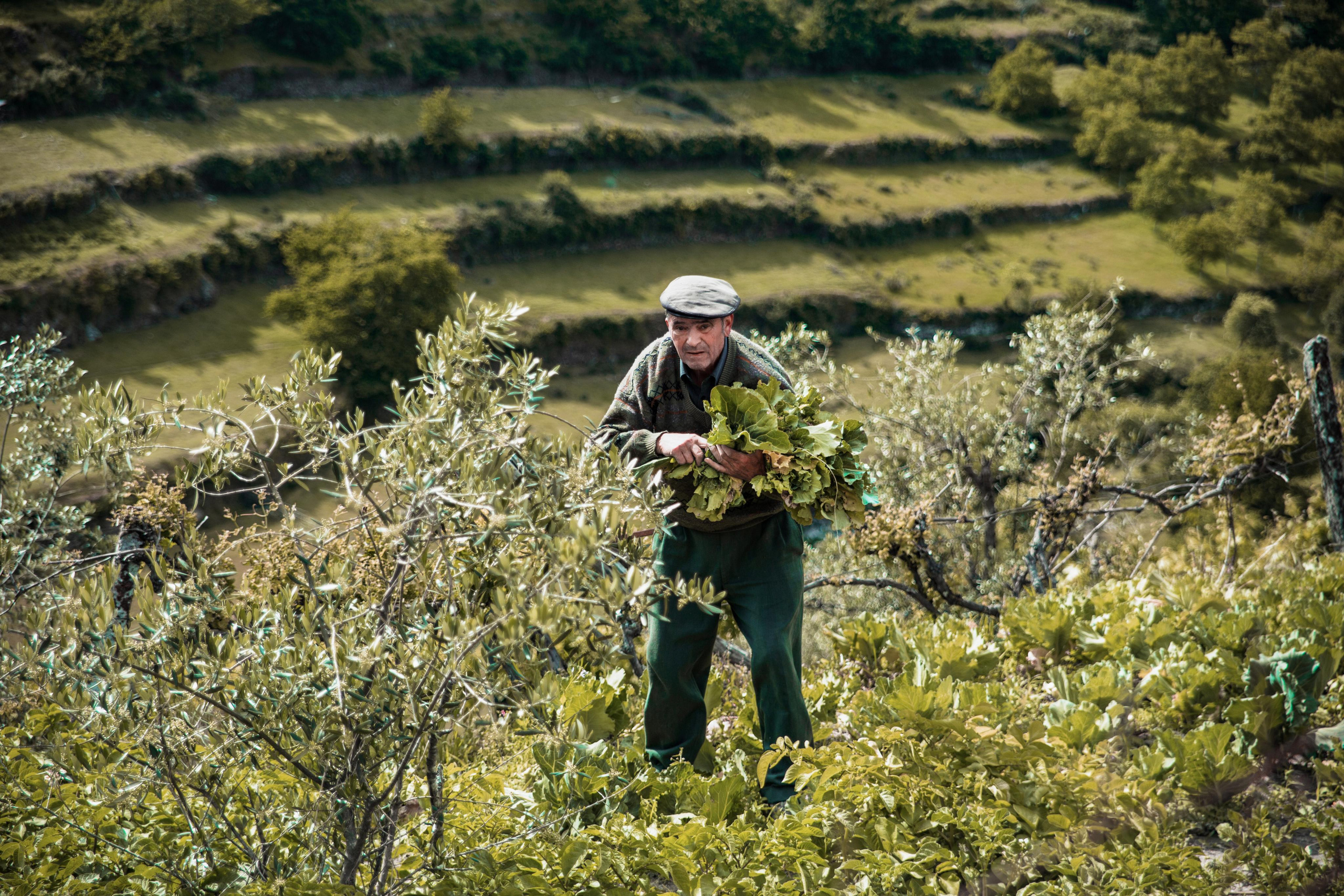 Portugal. Photographer Konstantin Gribov