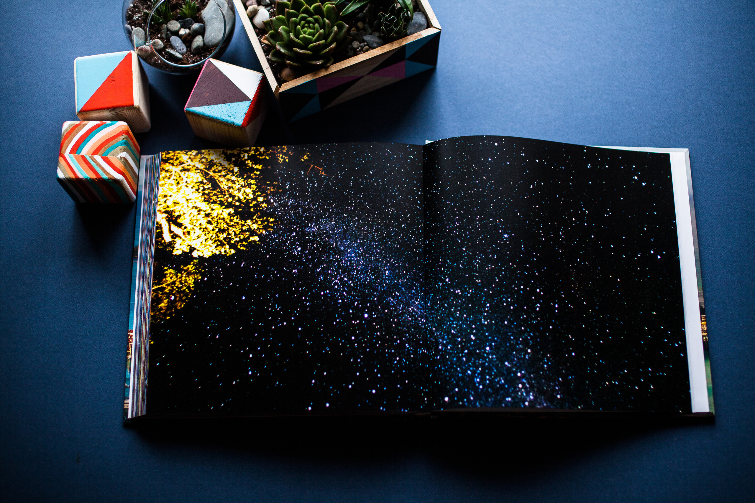 Сейшельская книга. Фотограф Константин Грибов в Москве