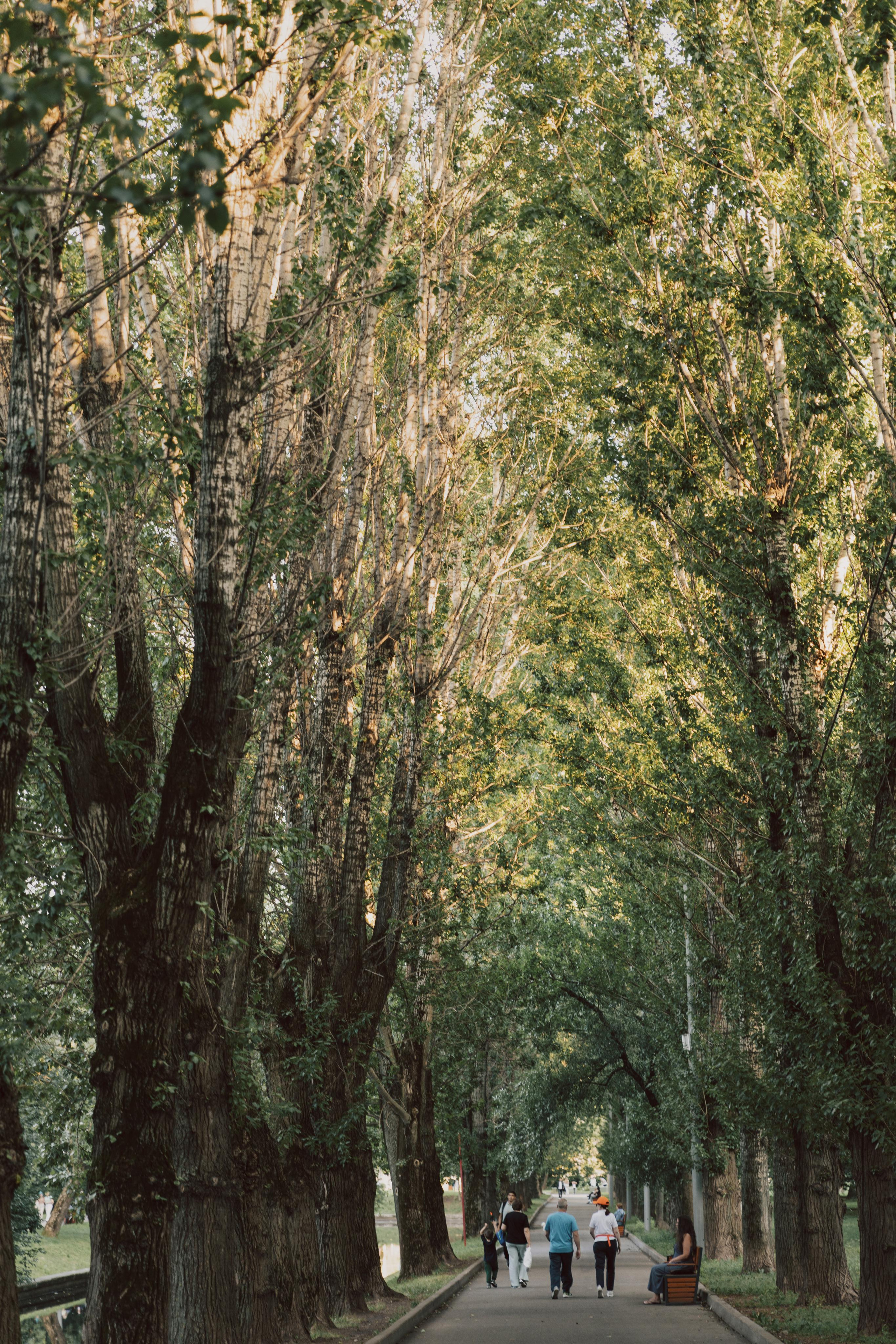АРХИТЕКТУРА / ОКРУЖЕНИЕ. Фотограф Константин Грибов в Москве