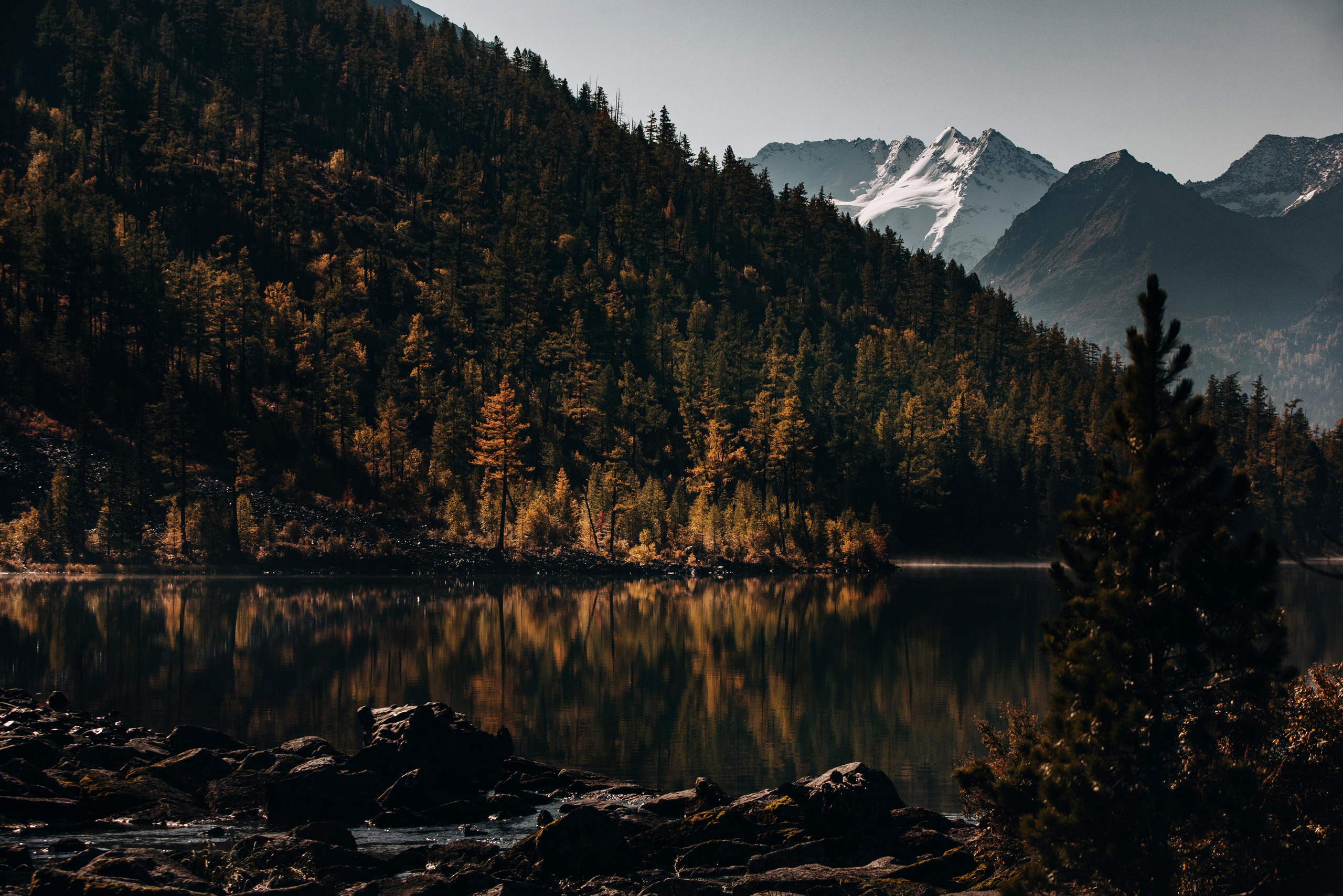 Altay. Photographer Konstantin Gribov