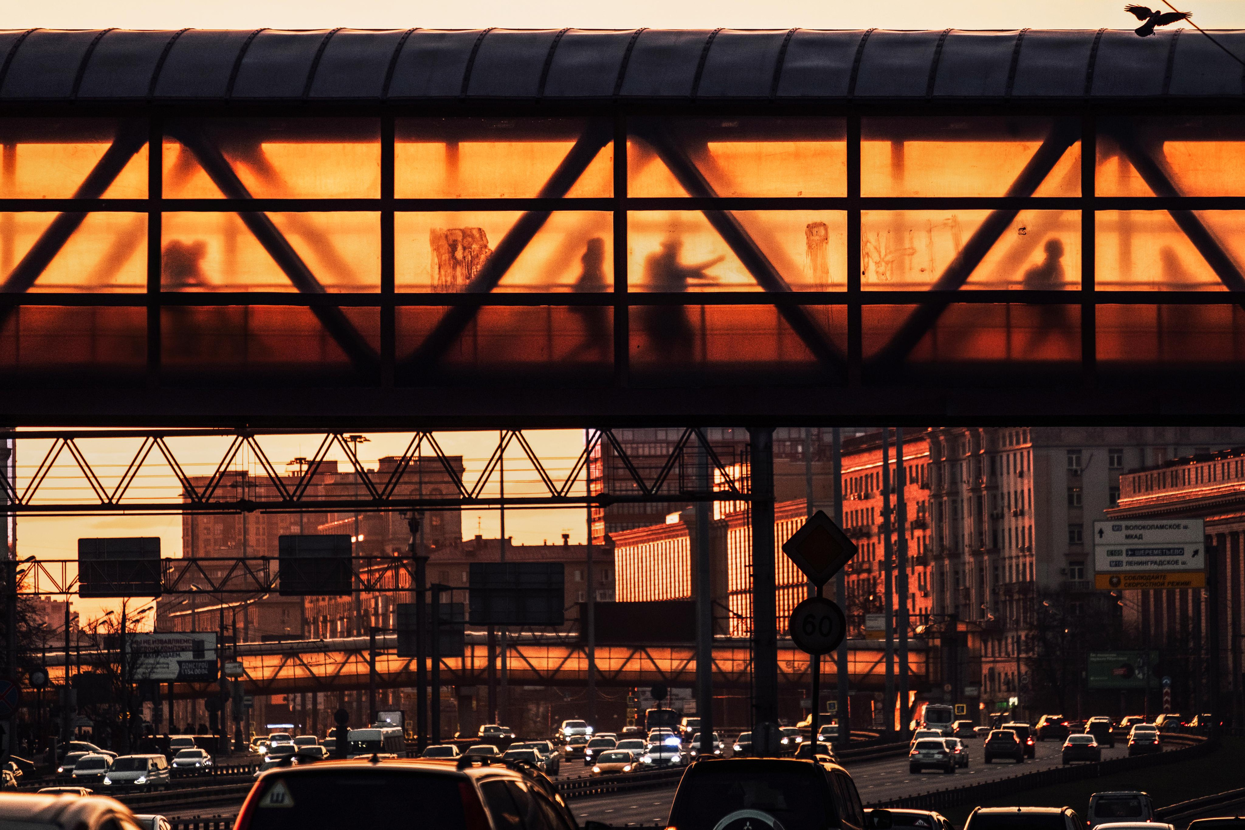 Moscow. Photographer Konstantin Gribov