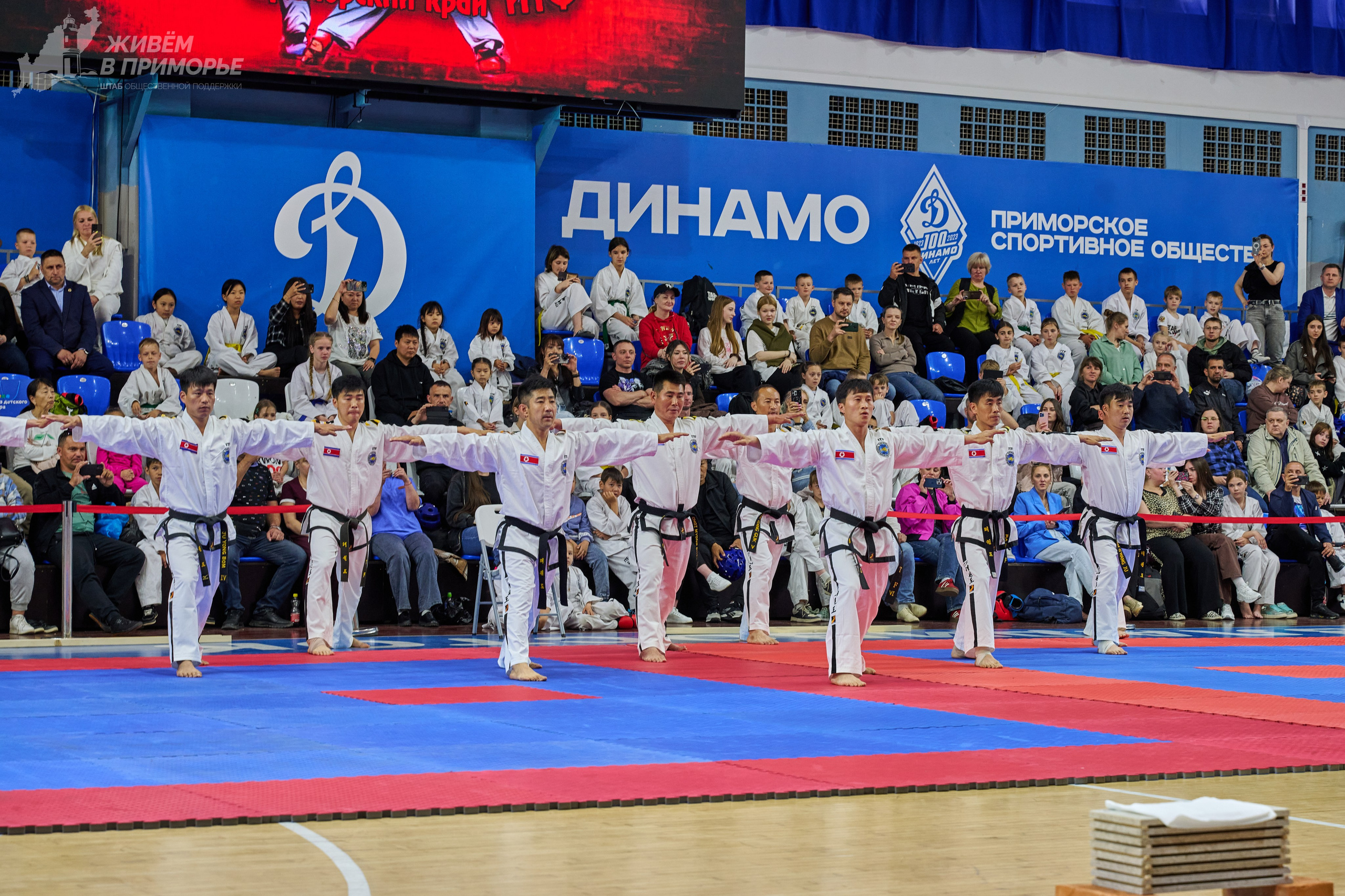 Кубок губернатора по тхэквондо. Профессиональный репортажный фотограф Инесса Иминова