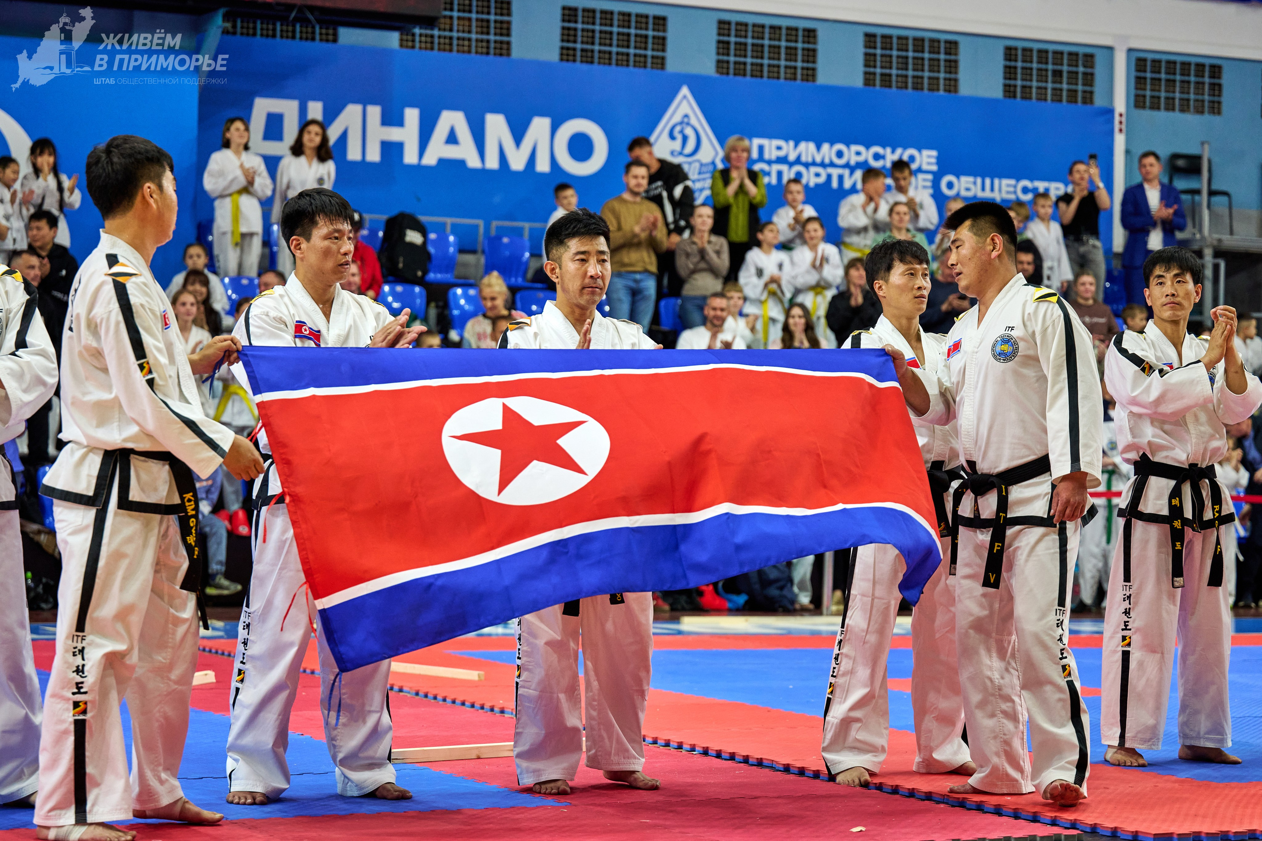 Кубок губернатора по тхэквондо. Профессиональный репортажный фотограф Инесса Иминова