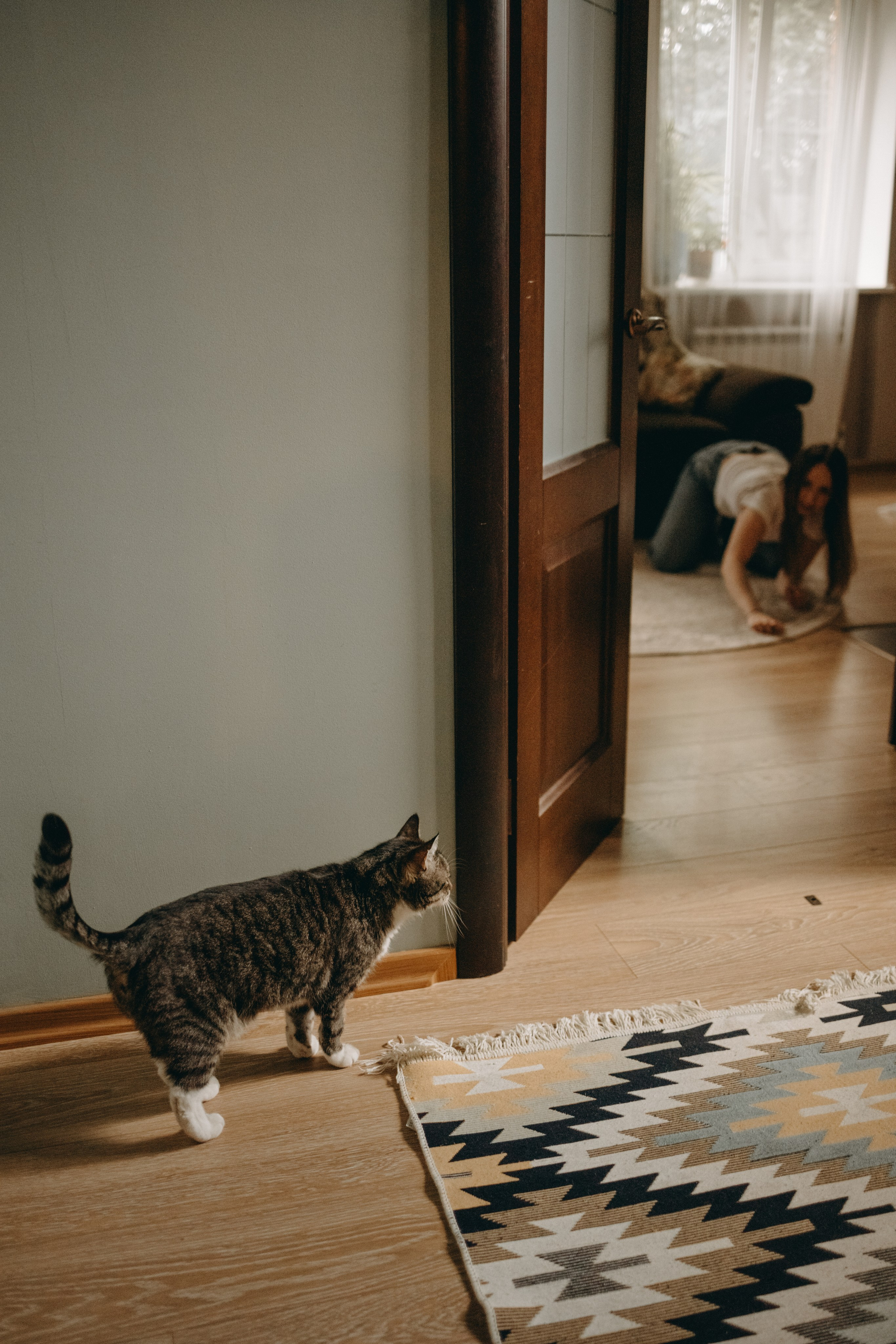 Софа и ее хвостики. Фотограф — Анималист | Санкт-Петербург