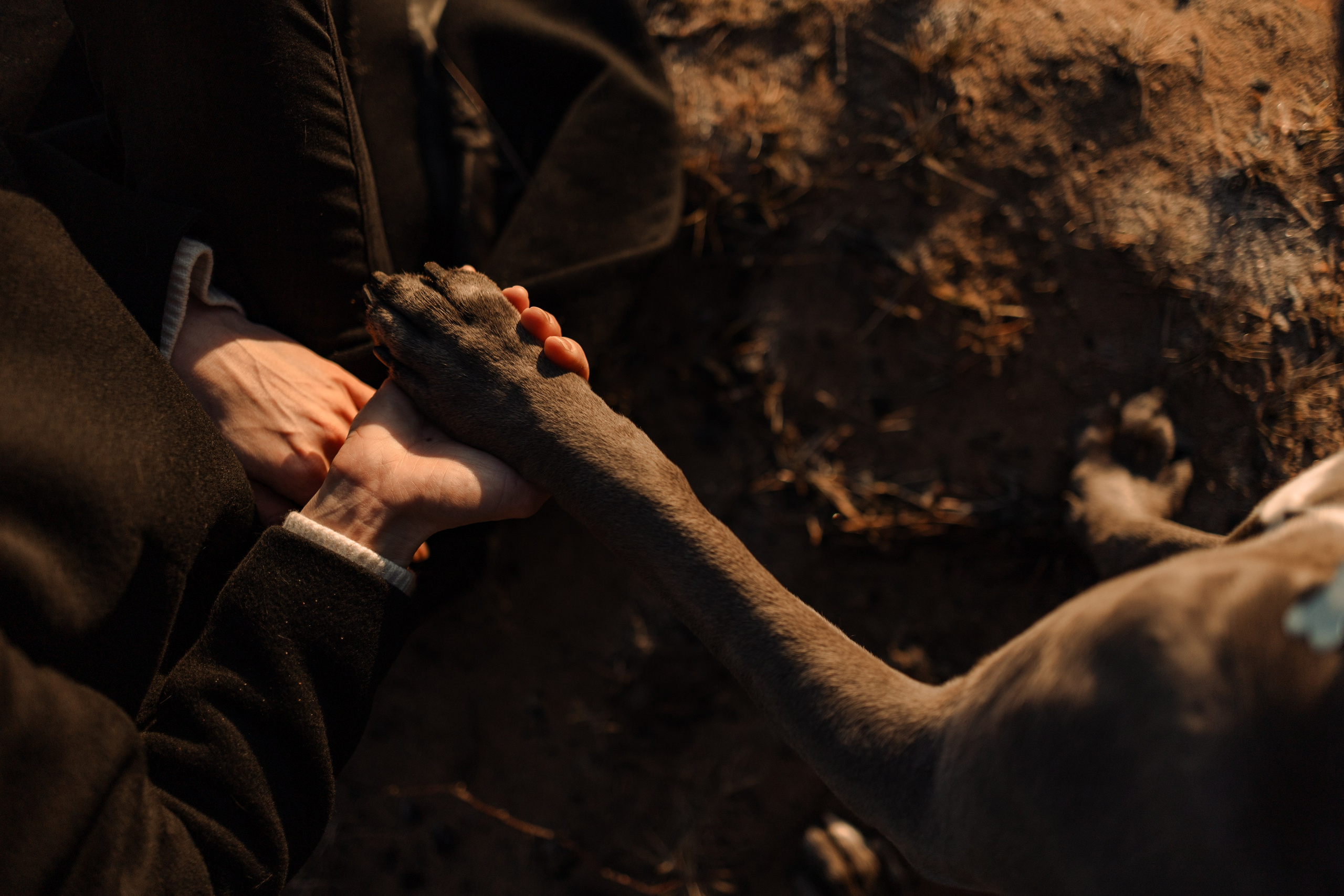 Анна и Лана. Фотограф — Анималист | Санкт-Петербург