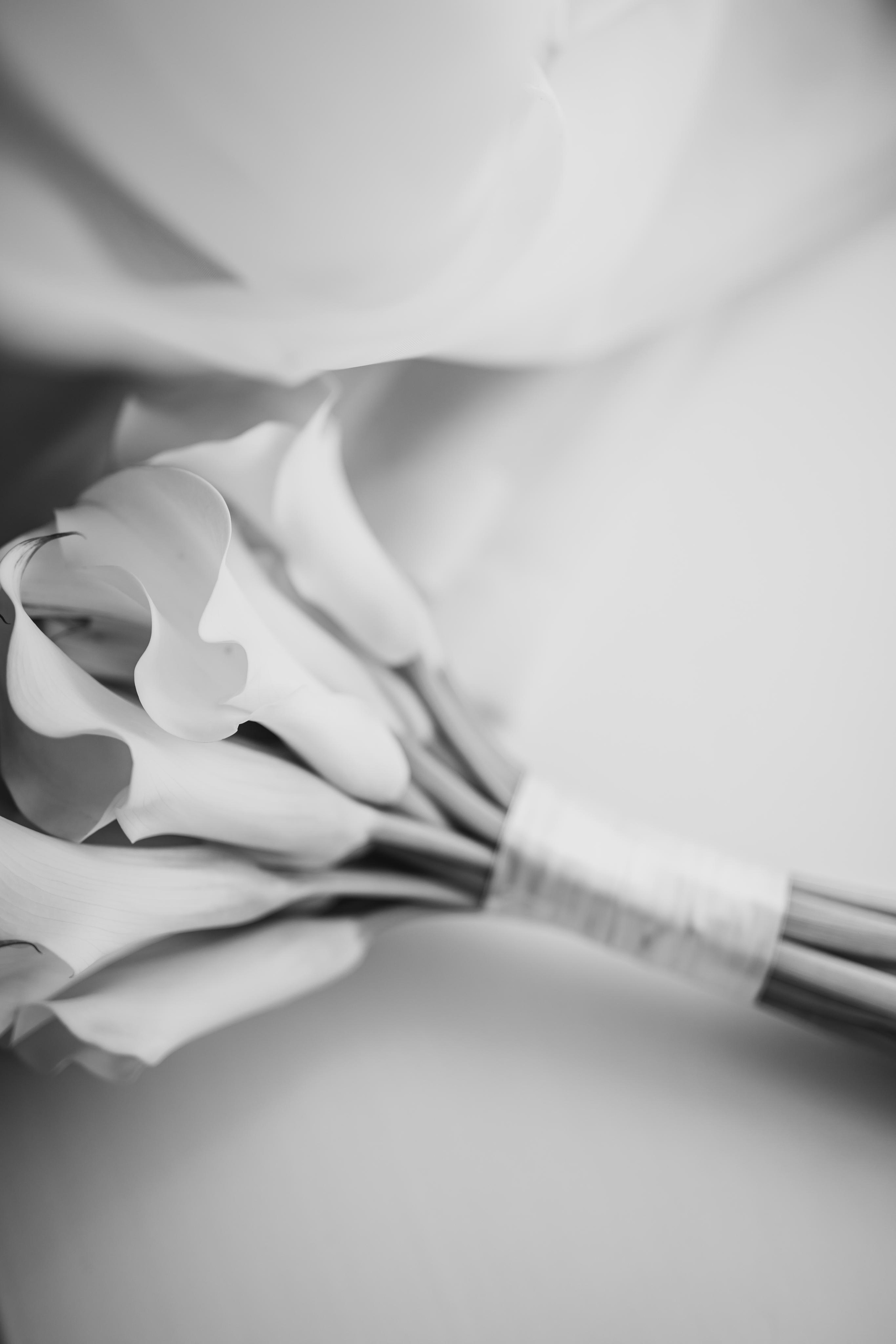 Максим & Виктория. Фотограф Нижний Новгород Кристина Швецова