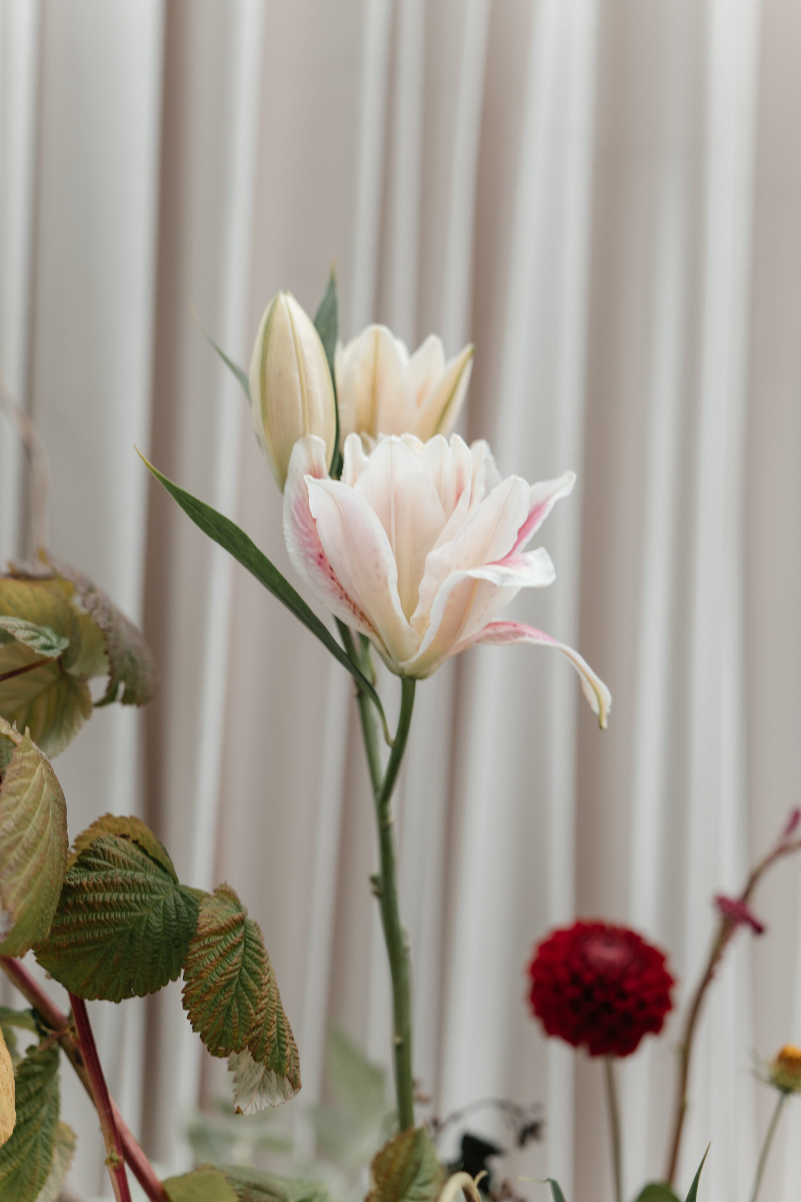 DENIS & MARIA. Свадебное ФОТО & ВИДЕО Москва/Липецк