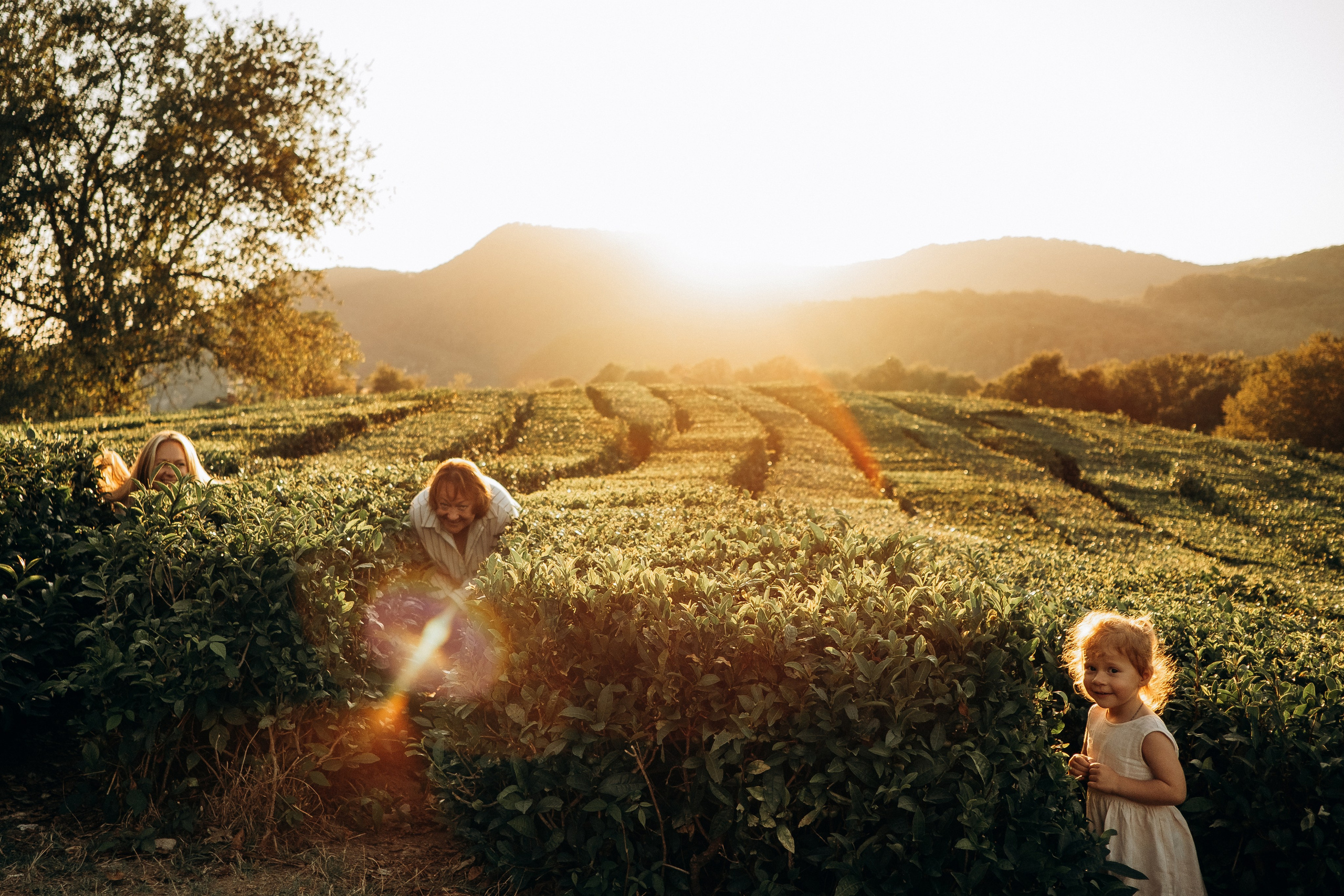 Семейные фотосессии в Сочи, Сириус и на Красной поляне. Семейный, свадебный фотограф Сочи, Адлер, Красная поляна