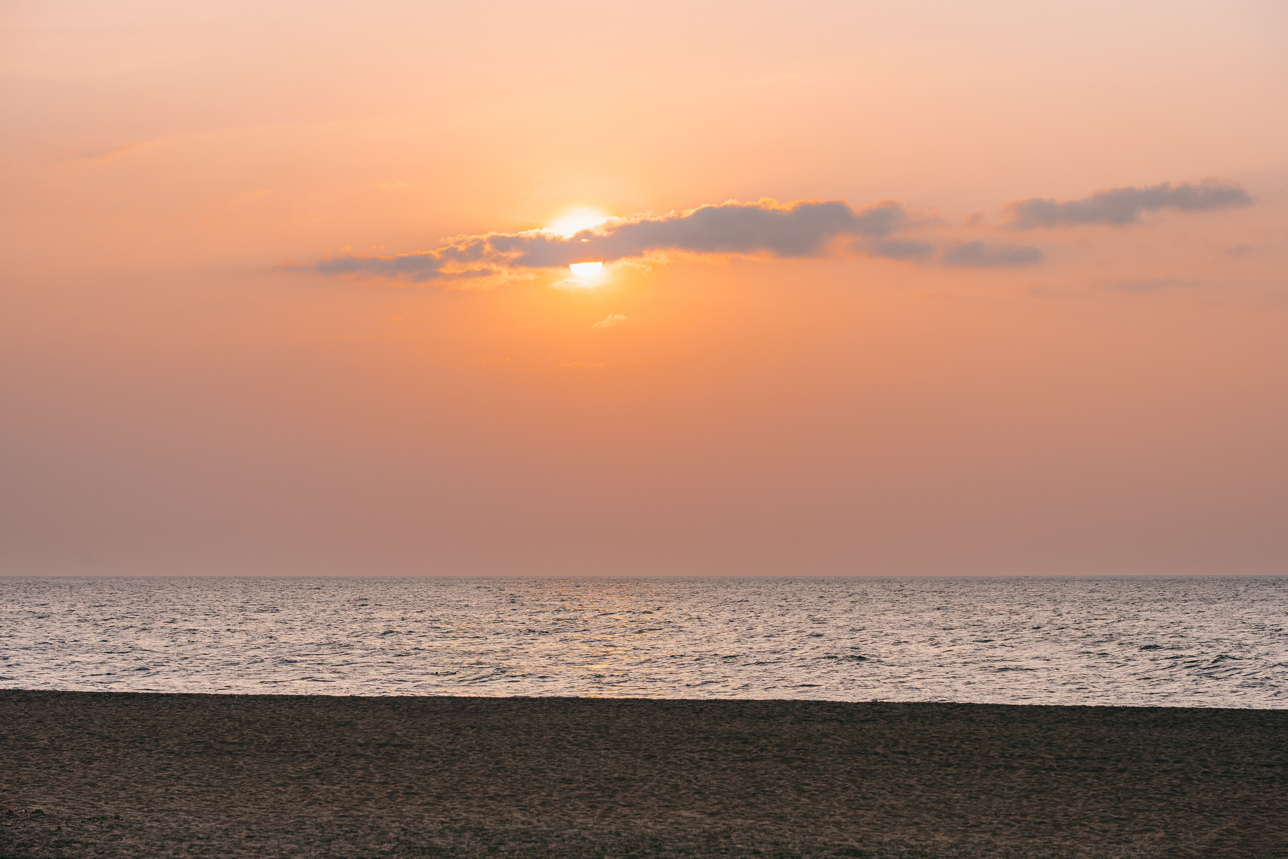 Шри-Ланка 2025. Легкая фотография