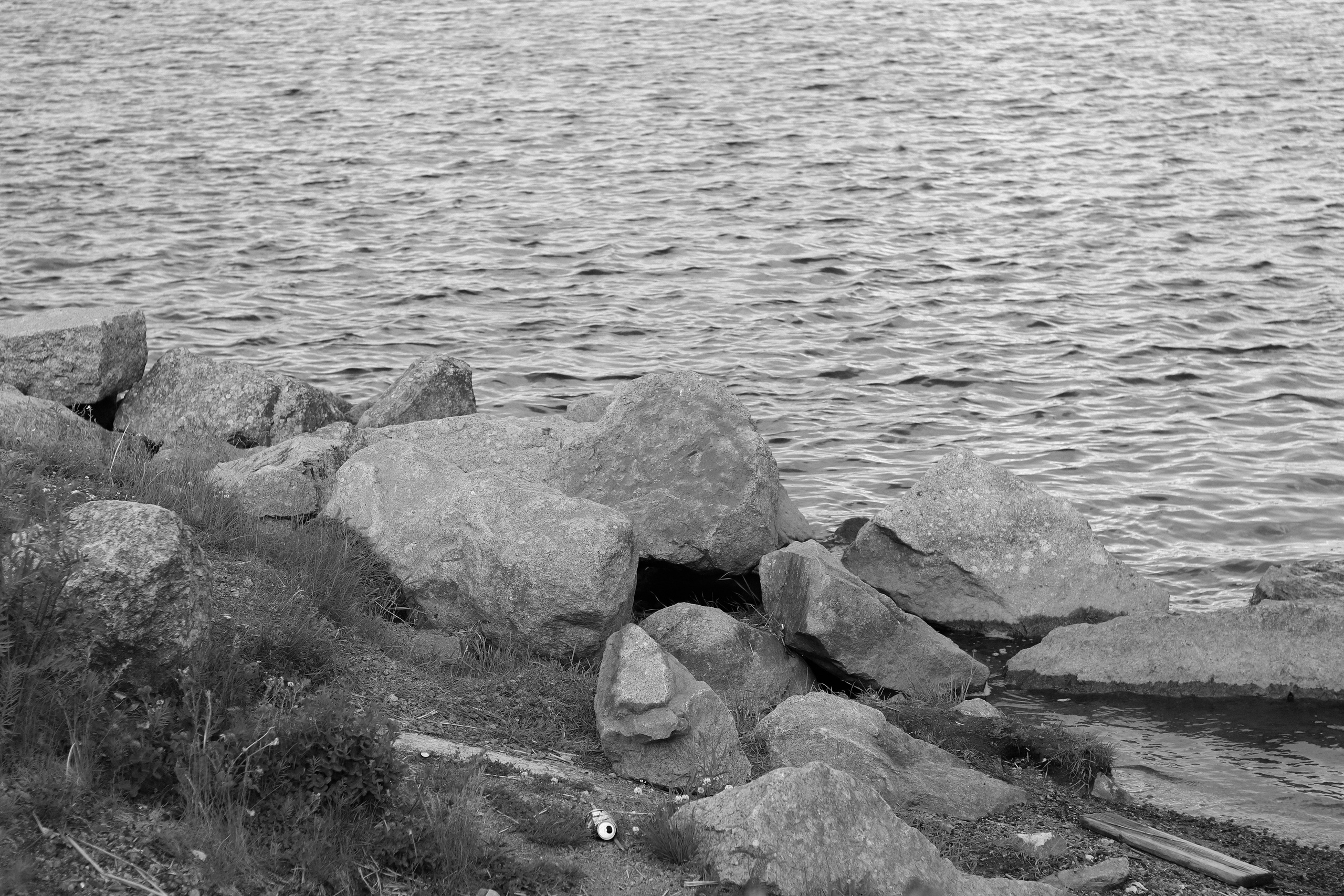 Contour. Фотограф и исследователь фотографии из Санкт-Петербурга Елизавета Веприцкая