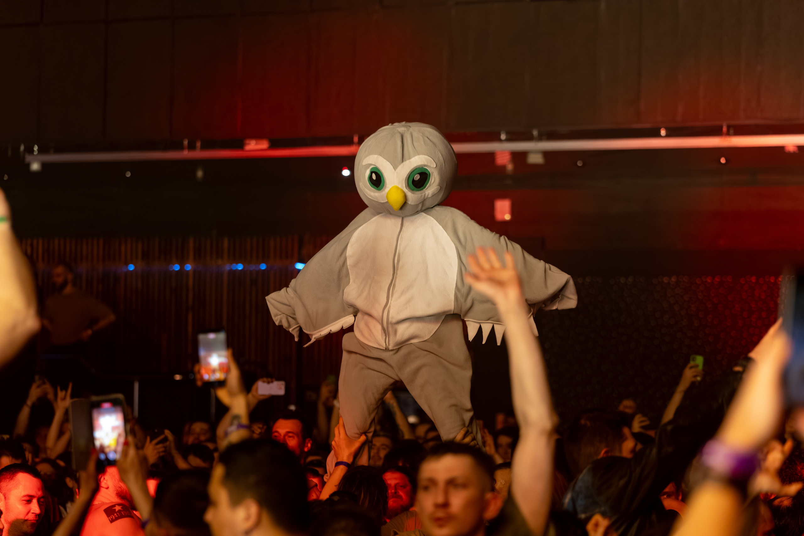 Пневмослон. Санкт-Петербург. Клуб Base. Концерт пневмослона в санкт-петербурге. спб. 2026