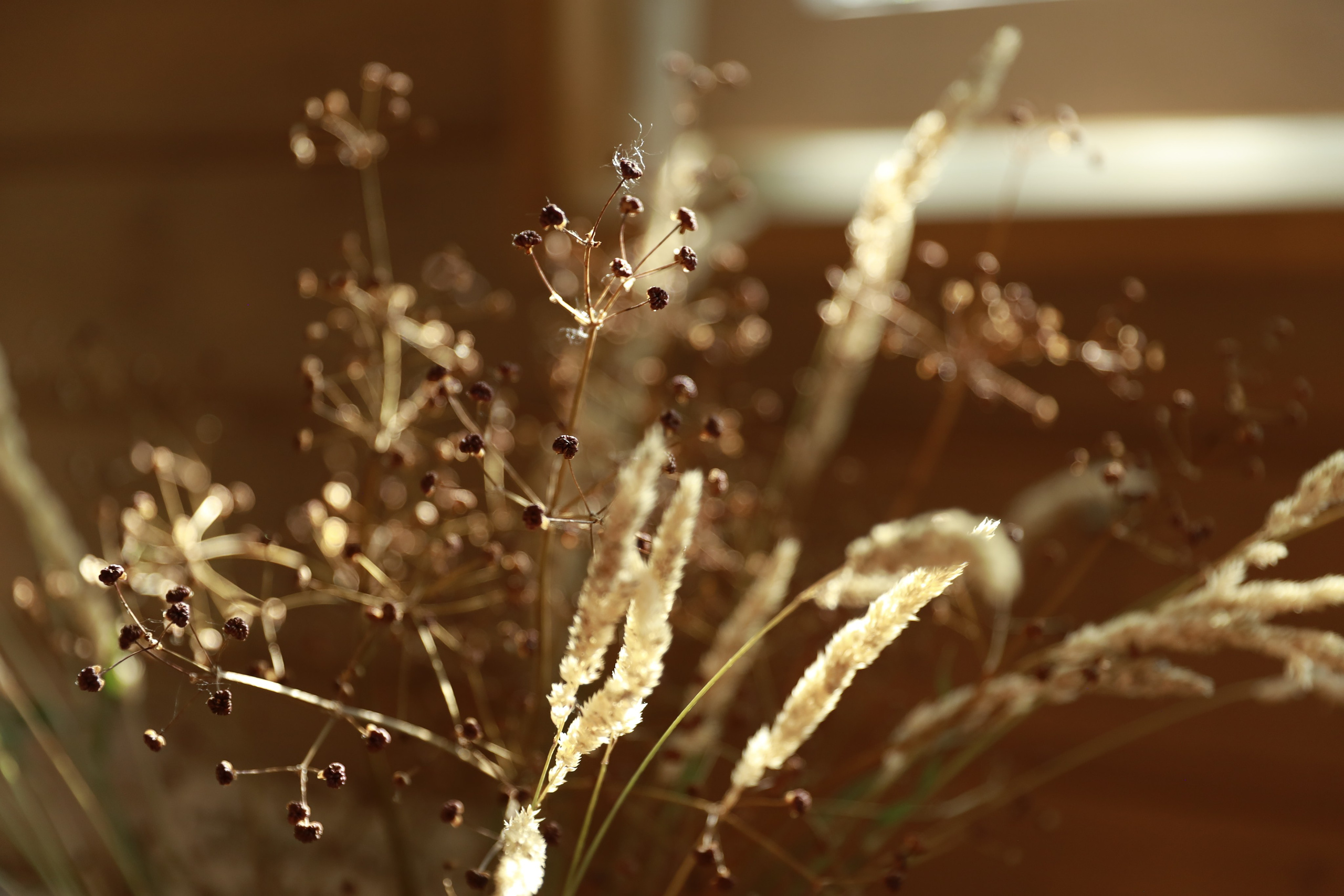 Вне студии. Фотограф Светлана Заплатина