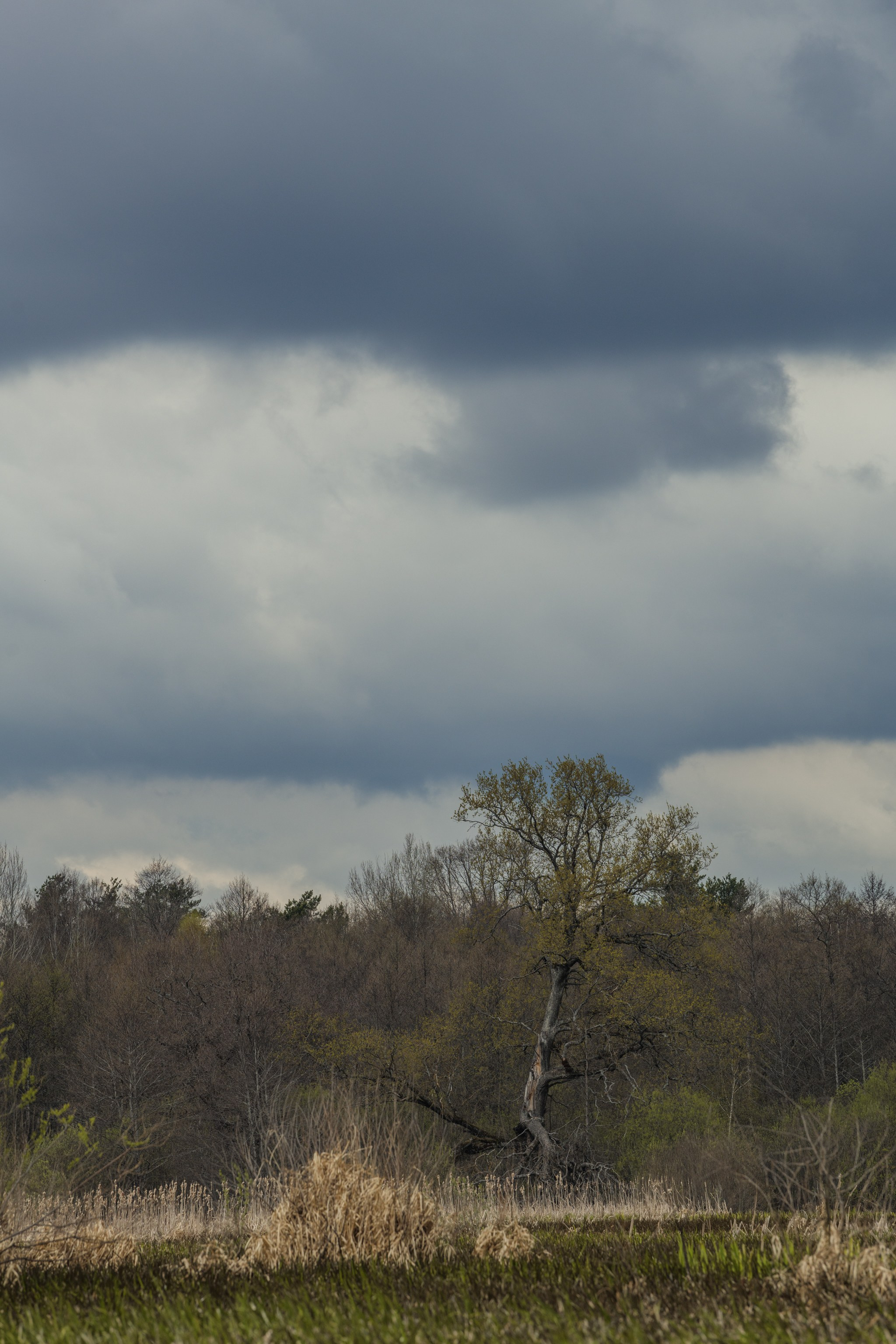 Водный поход 1-й кс по реке Случь. Репортажный фотограф Владимир Беляй