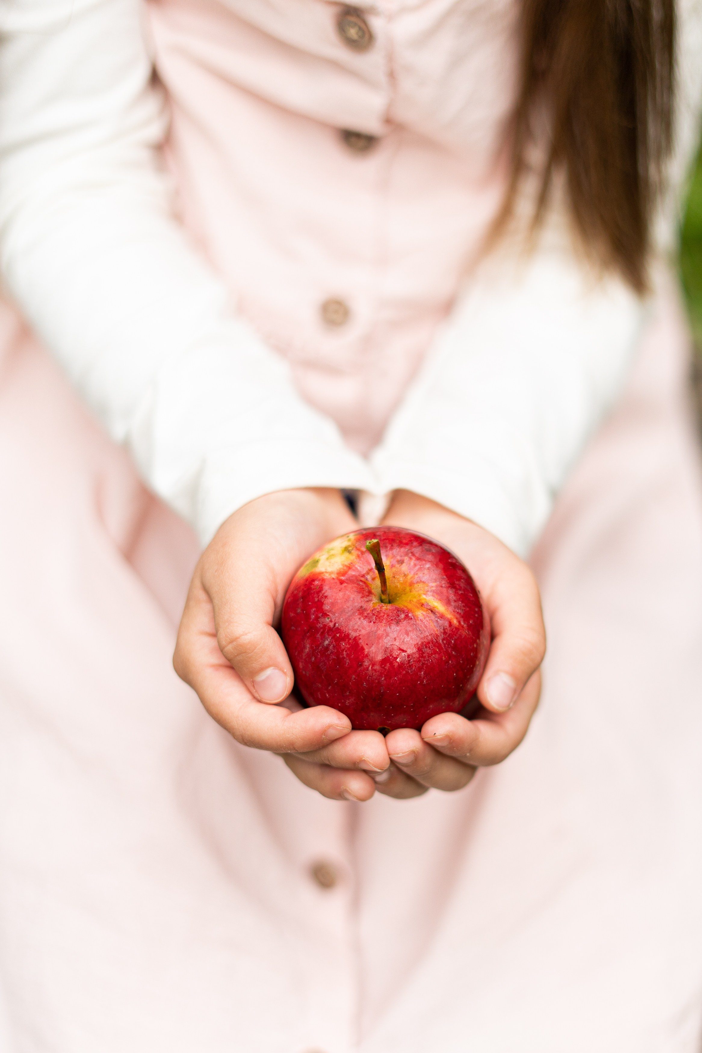 Осеннее ожидание. Главная